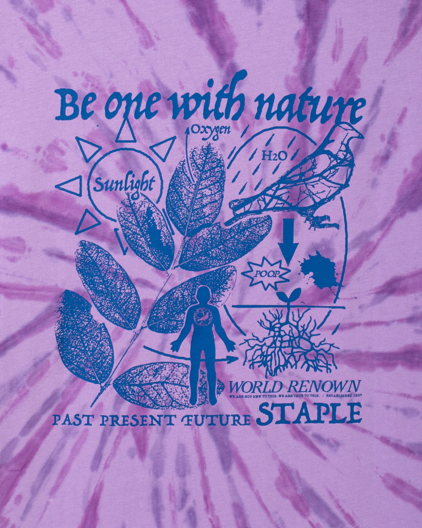 Cypress Graphic Tee - SS Tee | Staple Pigeon