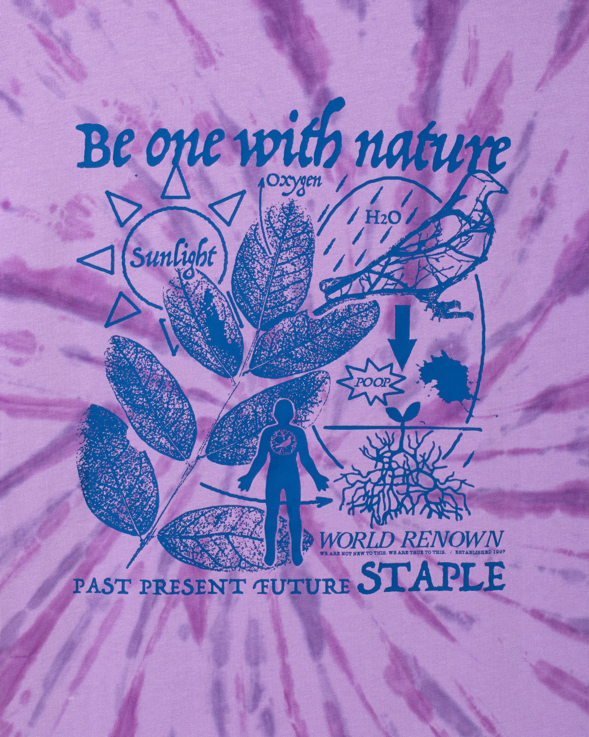 Cypress Graphic Tee - SS Tee | Staple Pigeon