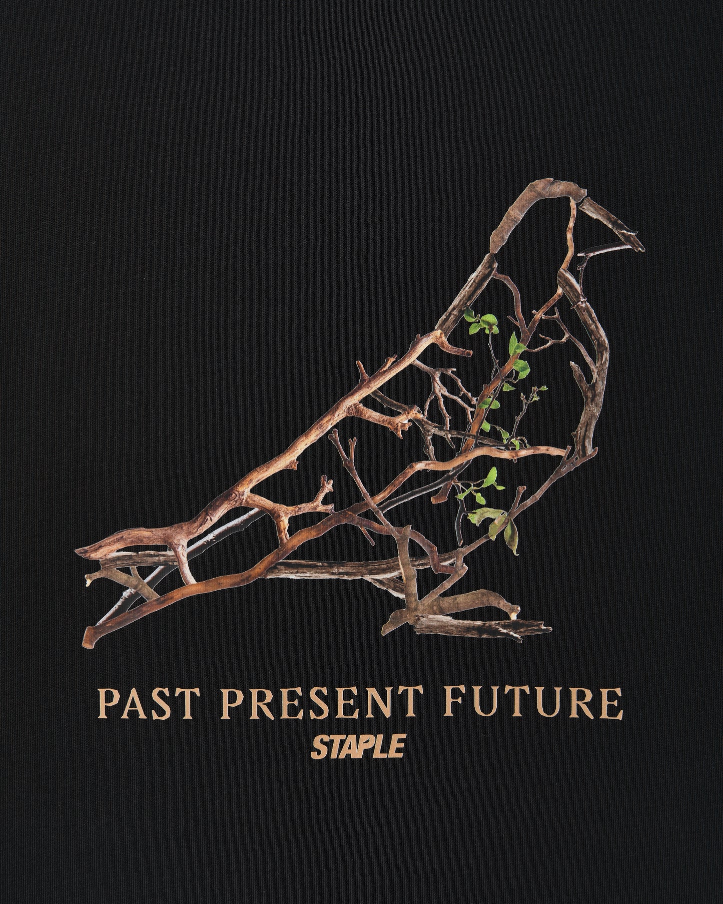 Foliage Pigeon Tee - SS Tee | Staple Pigeon