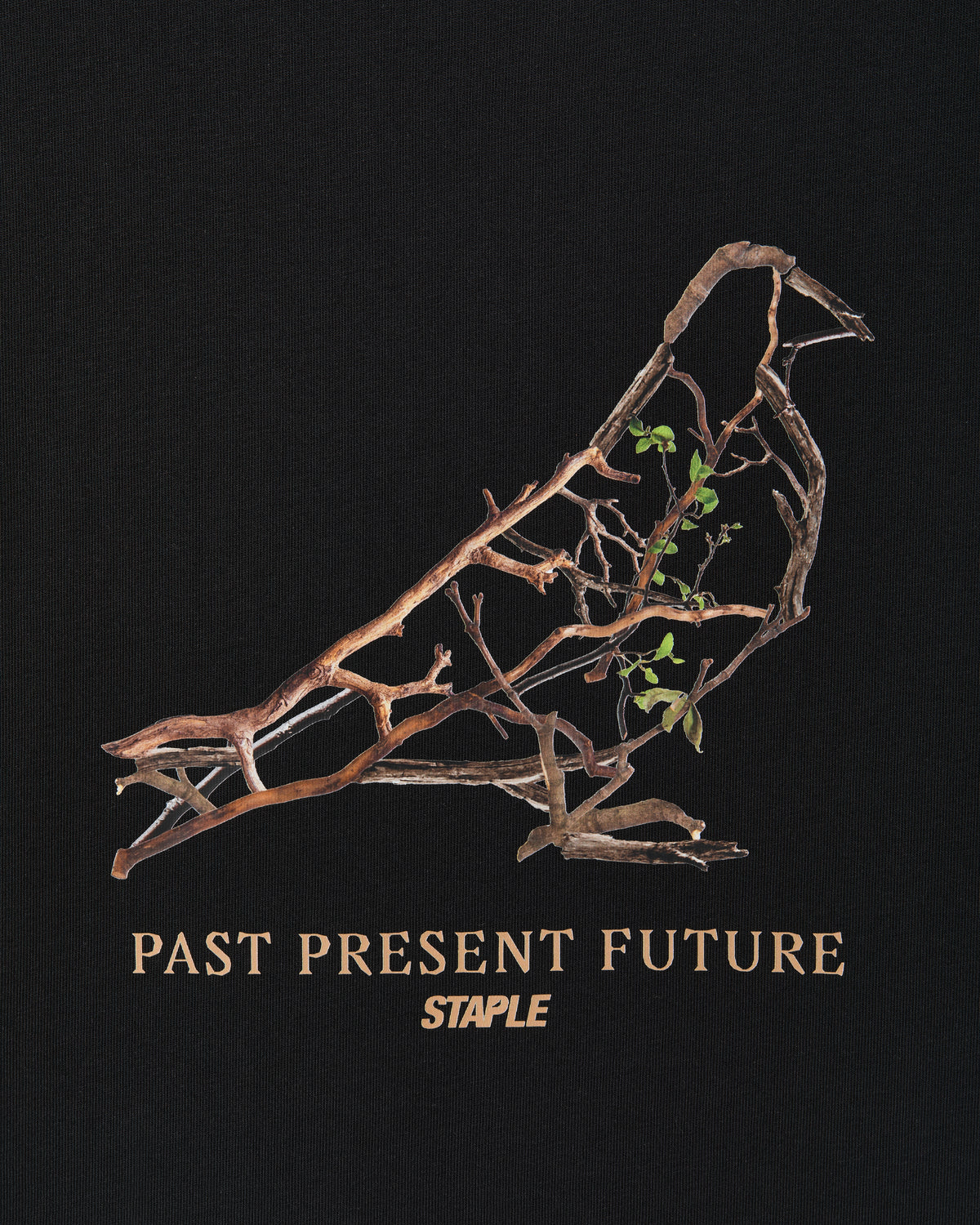 Foliage Pigeon Tee - SS Tee | Staple Pigeon