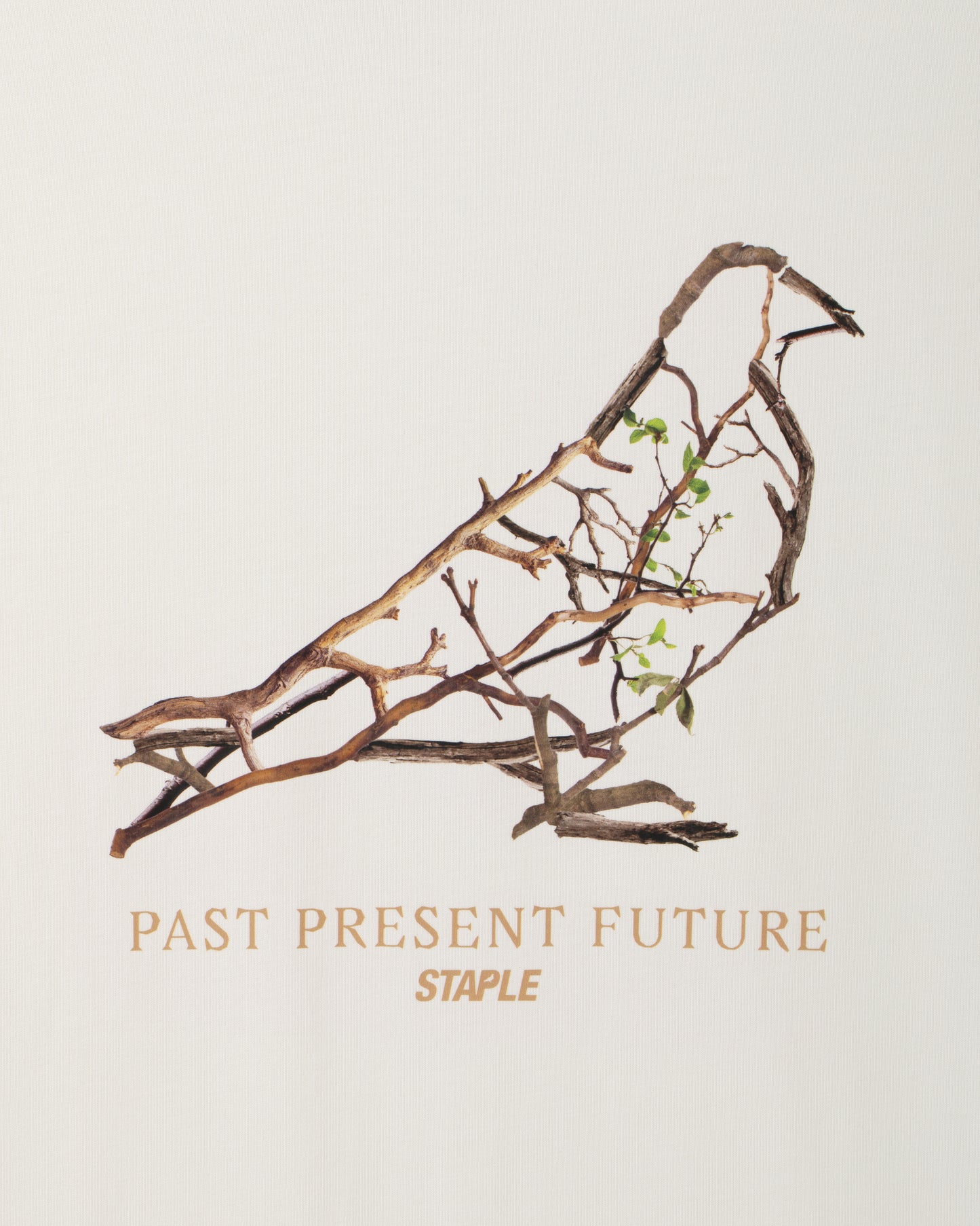 Foliage Pigeon Tee - SS Tee | Staple Pigeon