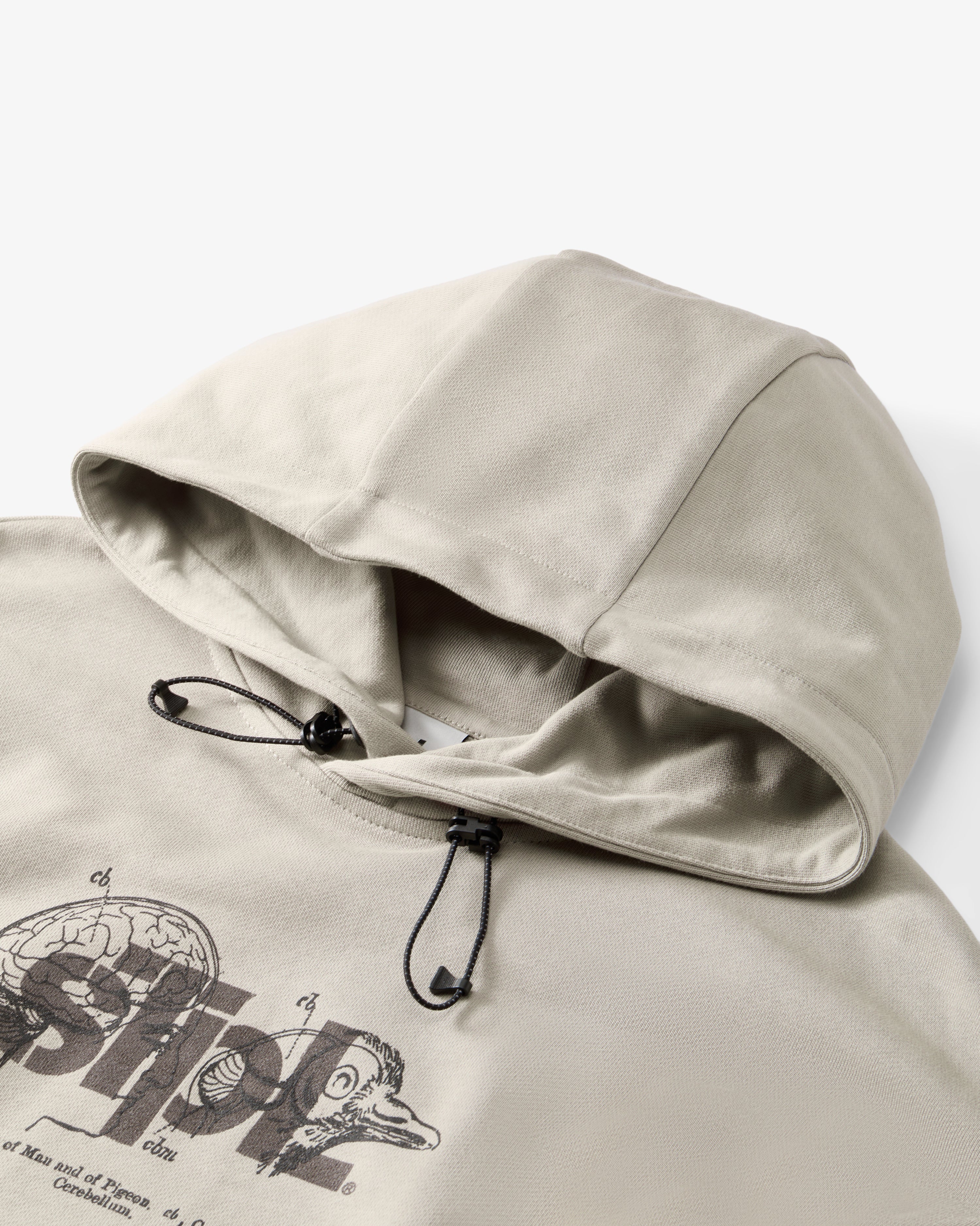Apex Logo Hoodie - LS Hoodie | Staple Pigeon