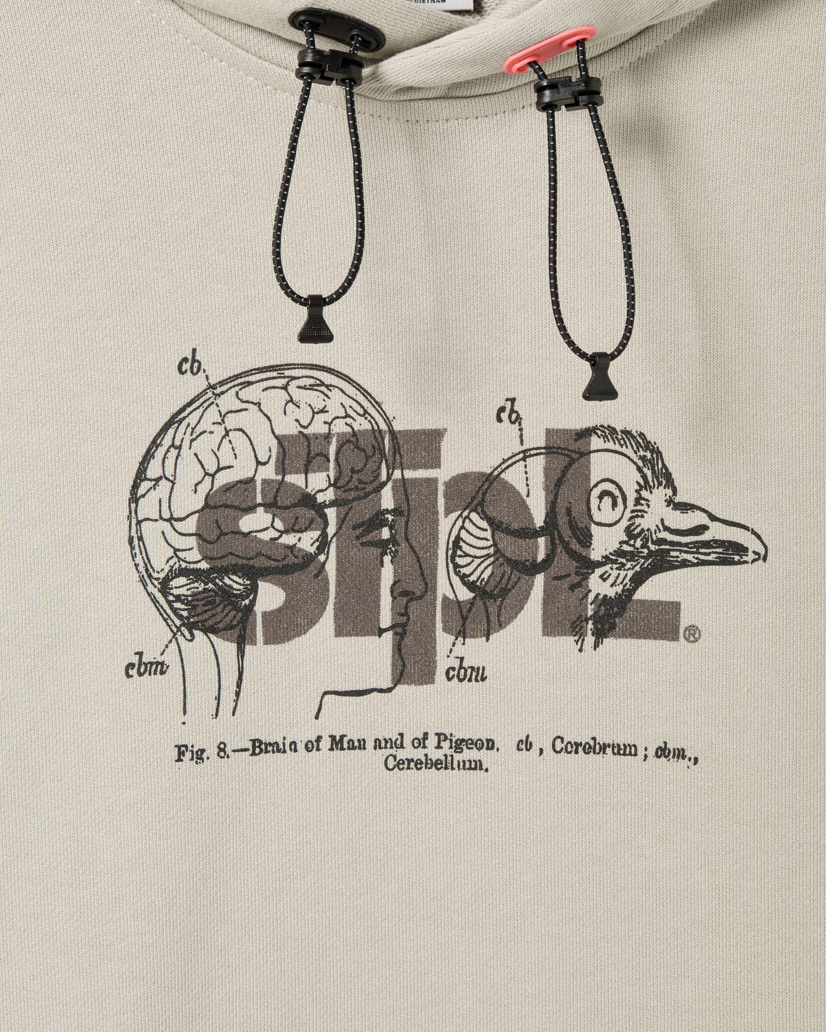 Apex Logo Hoodie - LS Hoodie | Staple Pigeon
