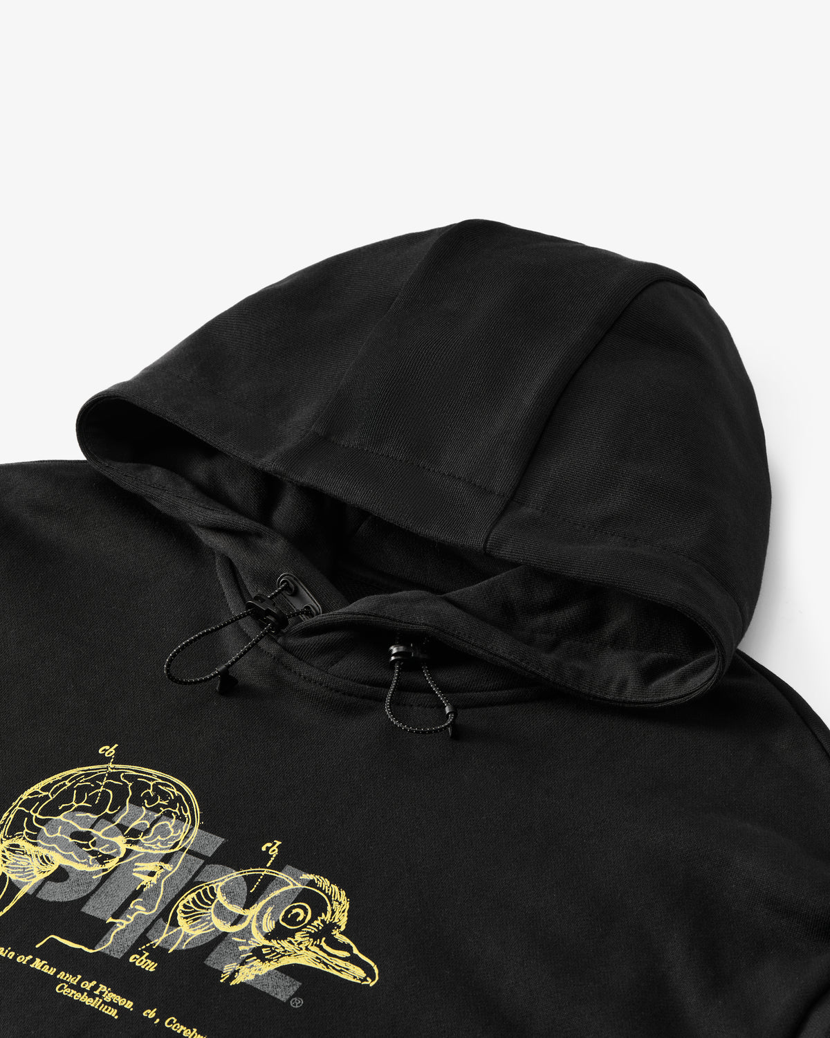 Apex Logo Hoodie - LS Hoodie | Staple Pigeon