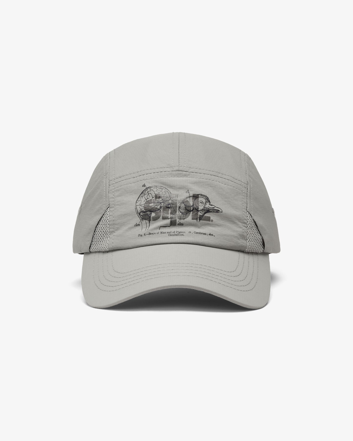 Apex Logo 5 Panel - Baseball Cap | Staple Pigeon