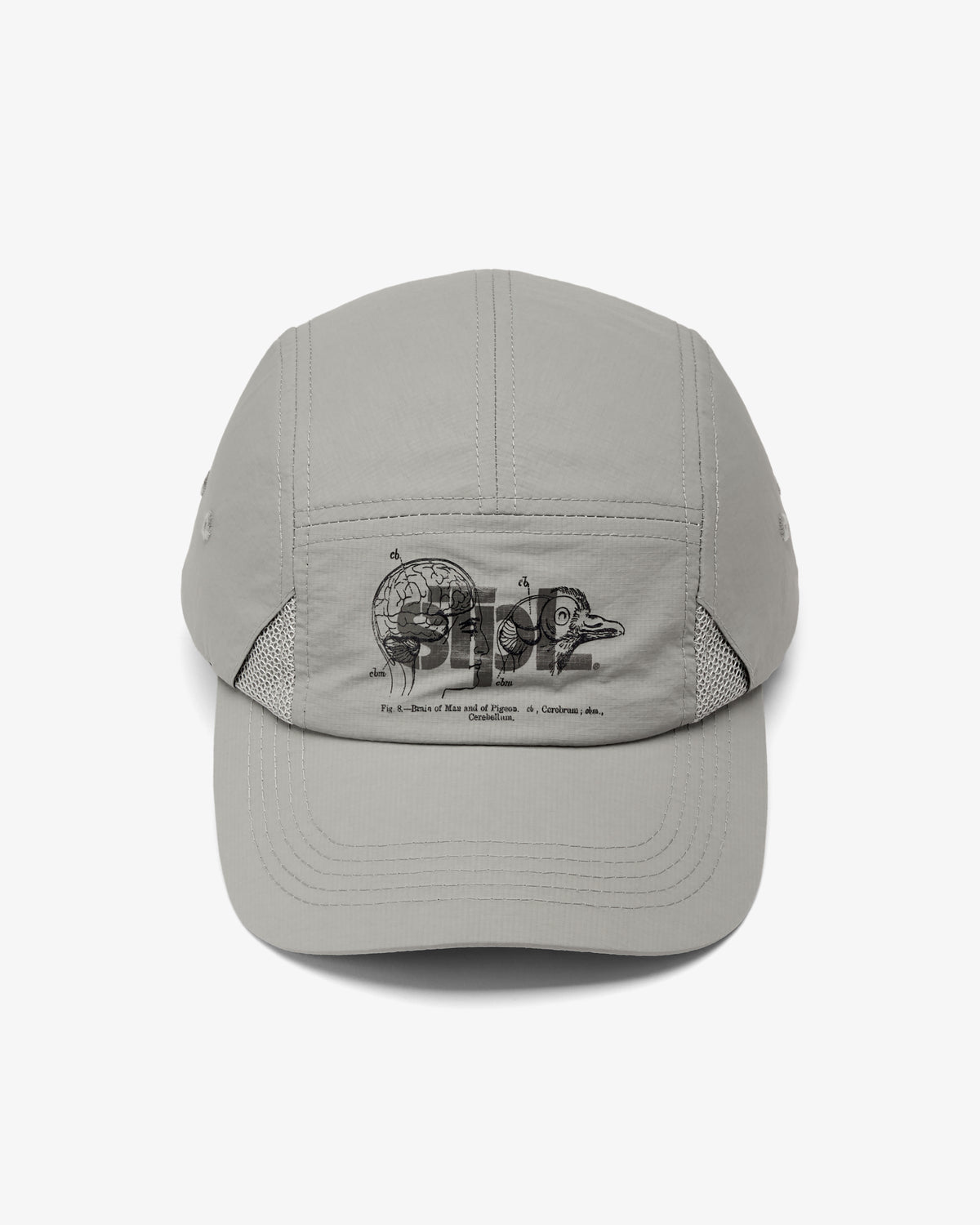 Apex Logo 5 Panel - Baseball Cap | Staple Pigeon