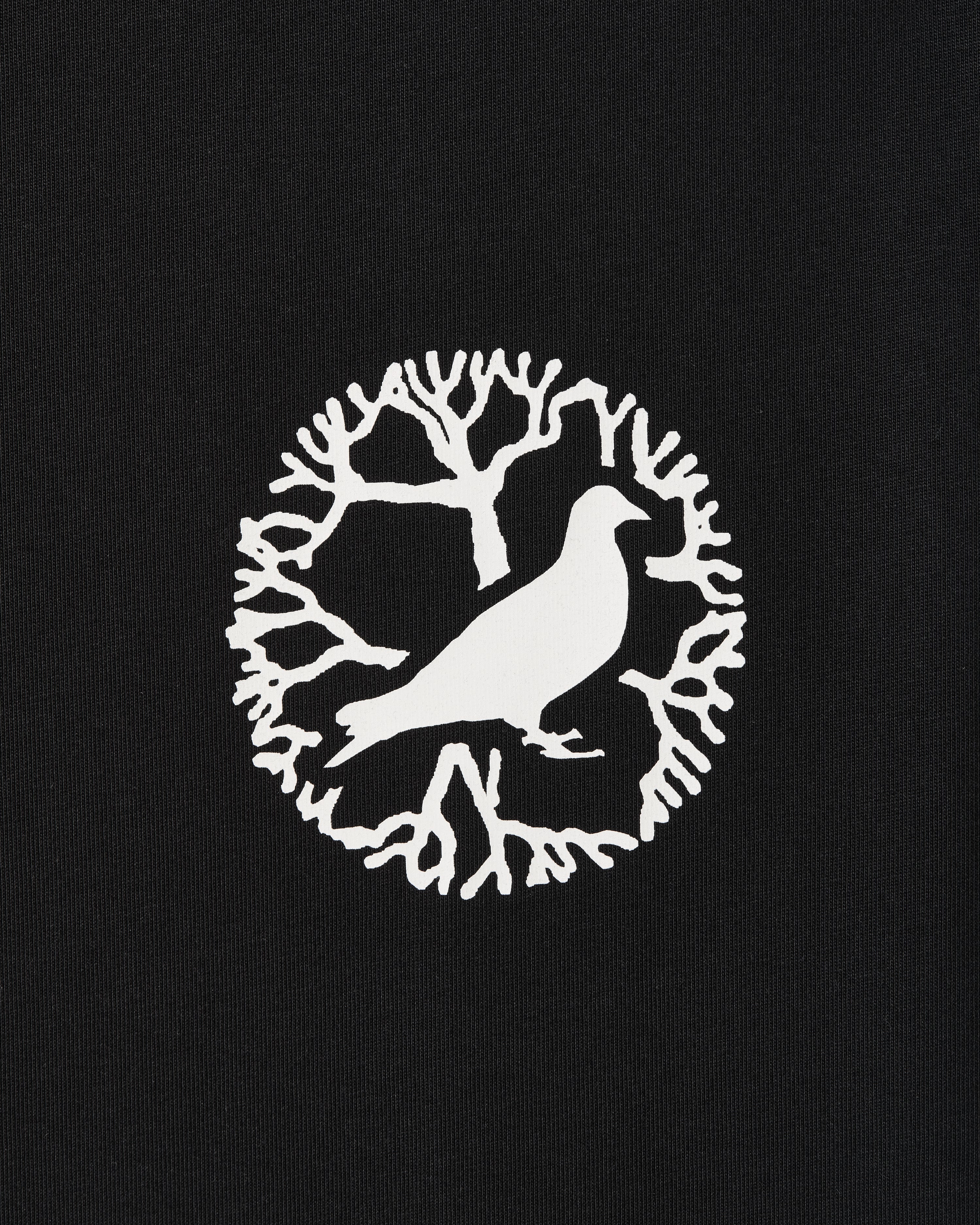 Juniper Graphic Tee - SS Tee | Staple Pigeon