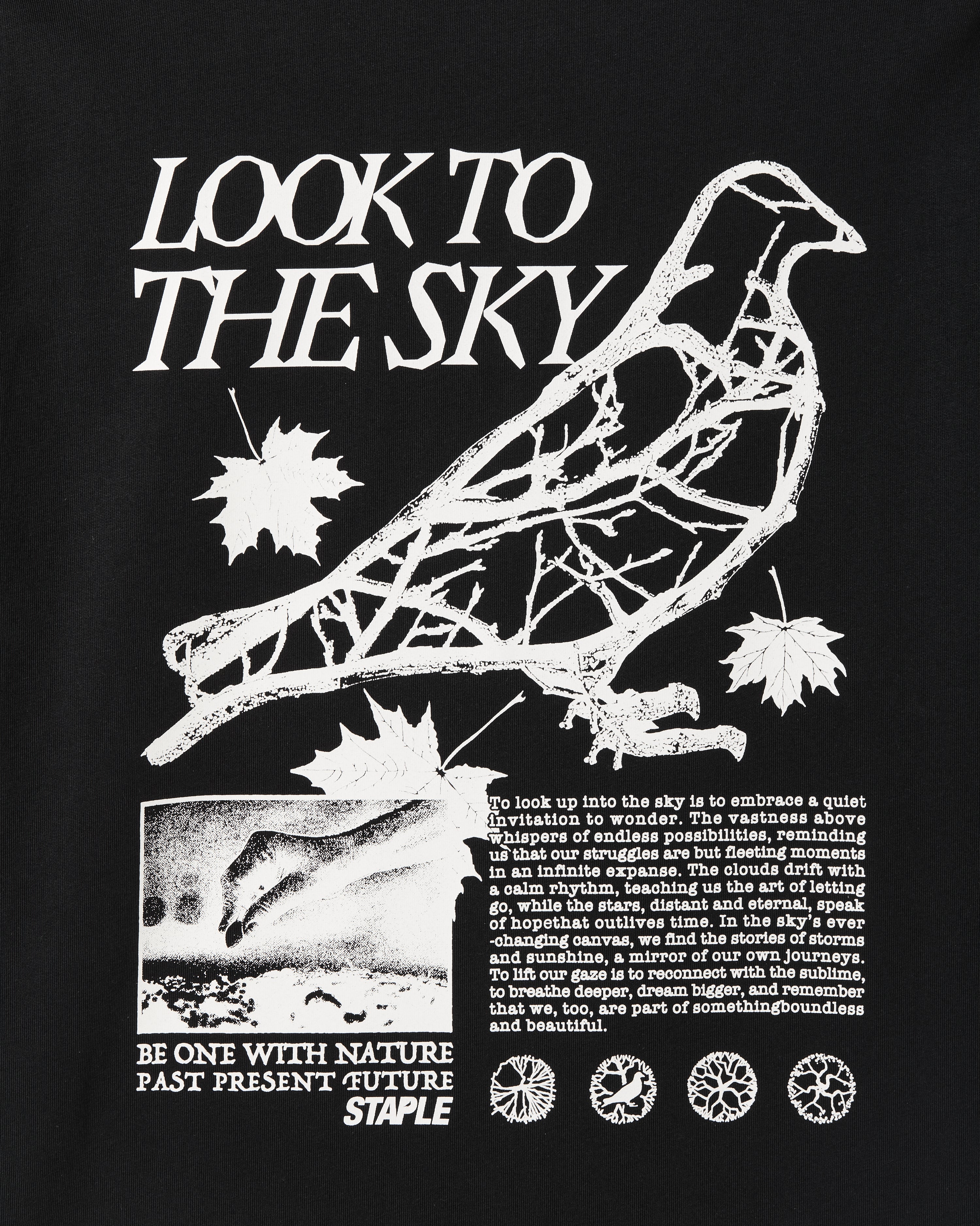 Juniper Graphic Tee - SS Tee | Staple Pigeon