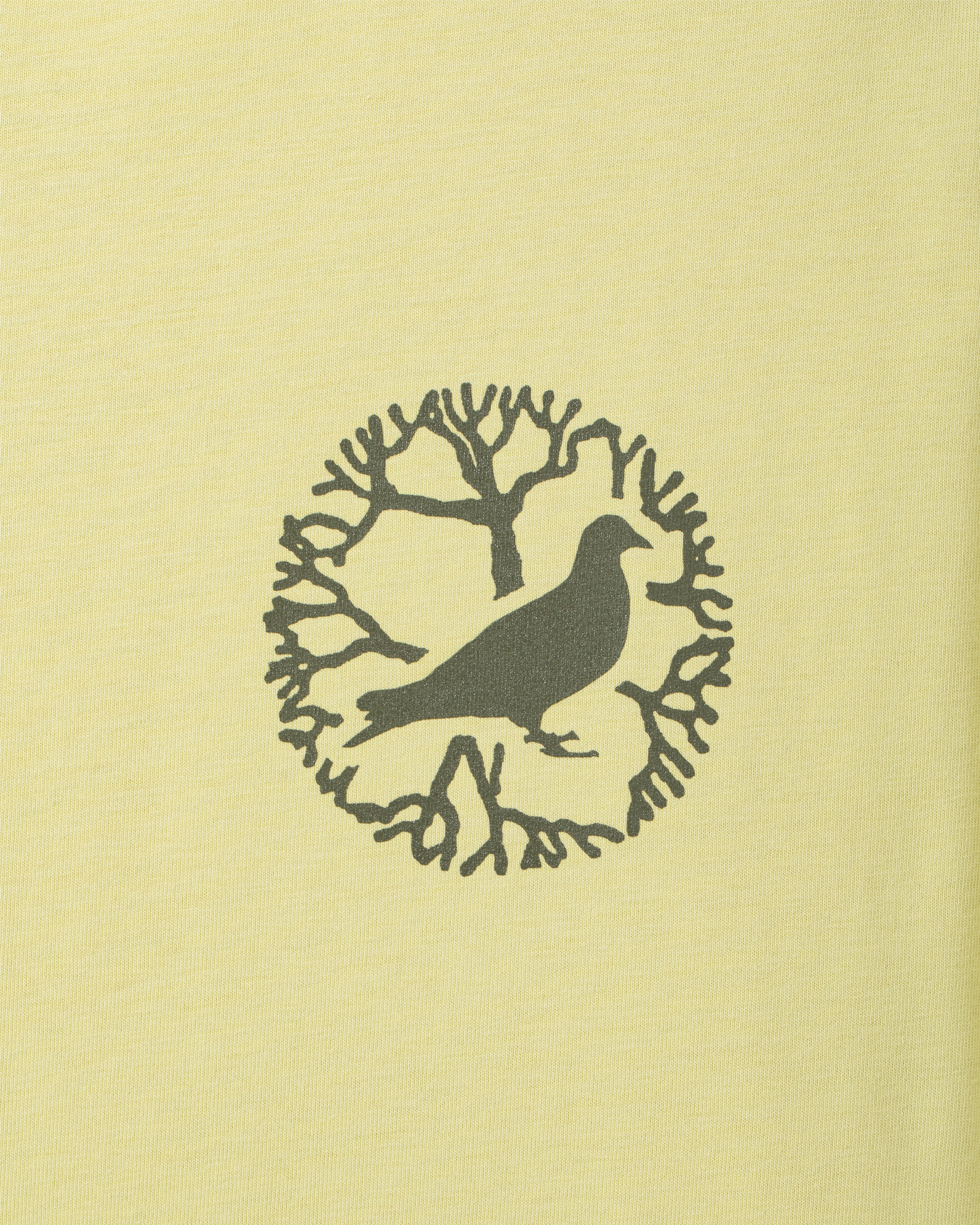 Juniper Graphic Tee - SS Tee | Staple Pigeon