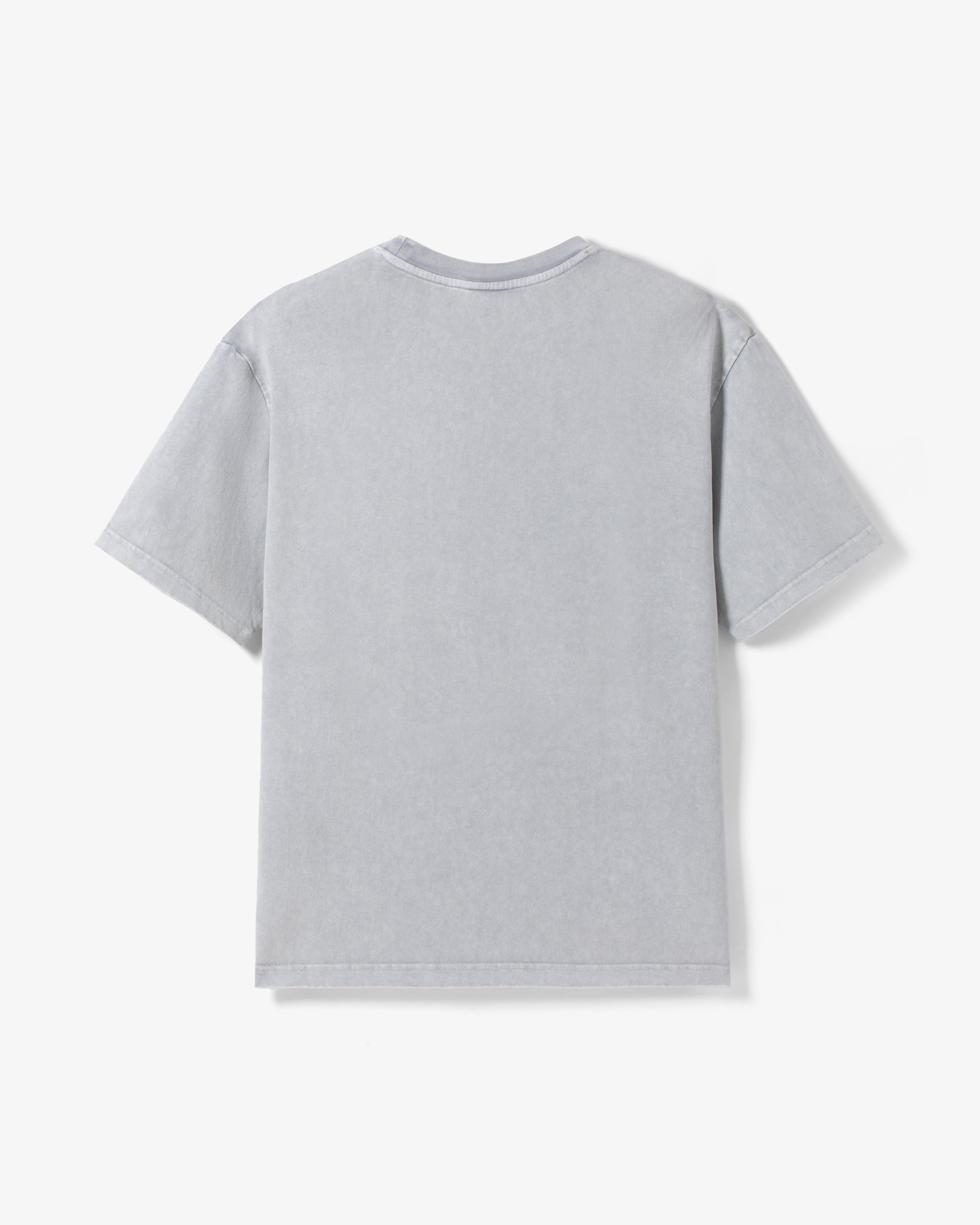 MoneyTree Washed Tee - SS Tee | Staple Pigeon