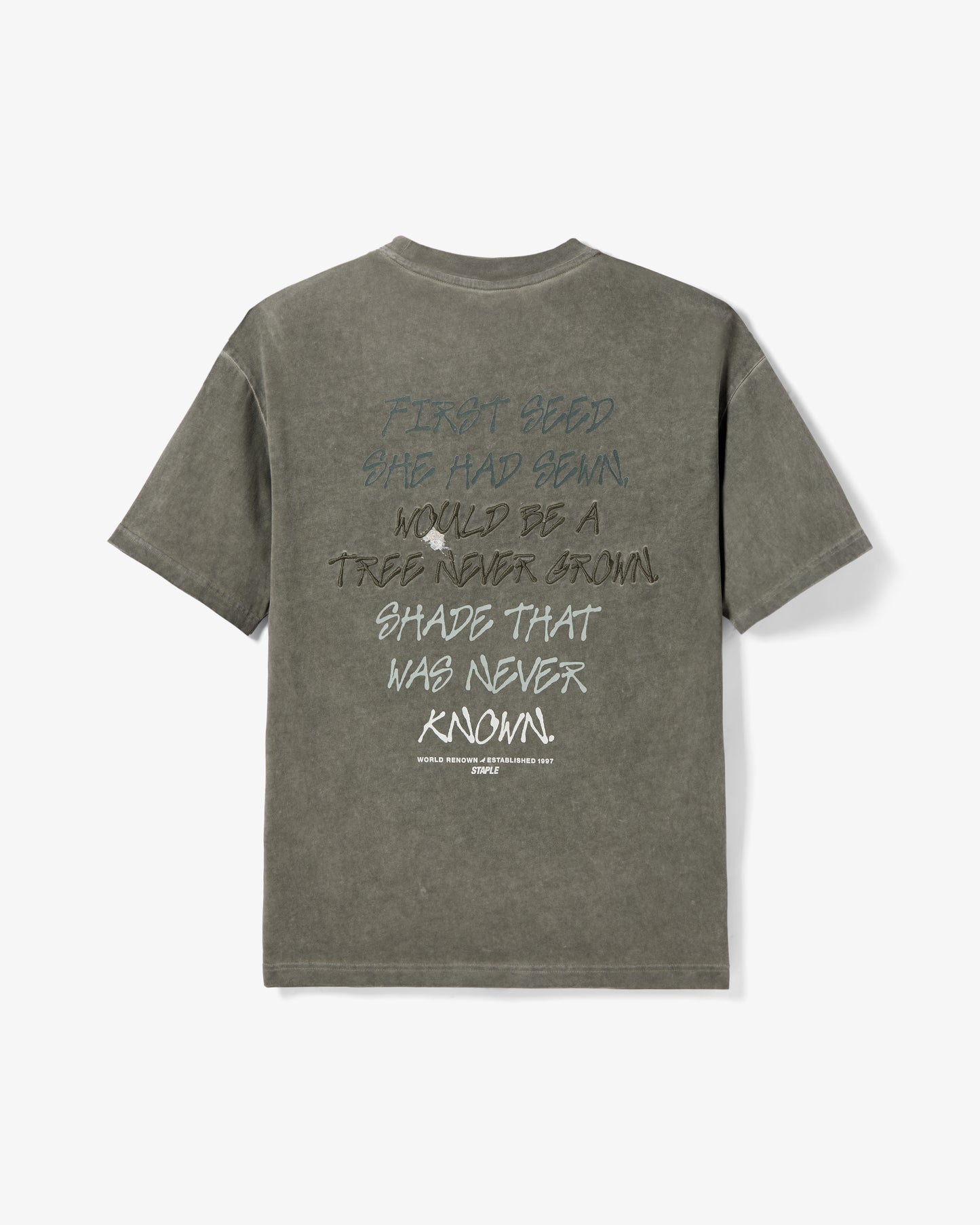 Evergreen Washed Tee - SS Tee | Staple Pigeon