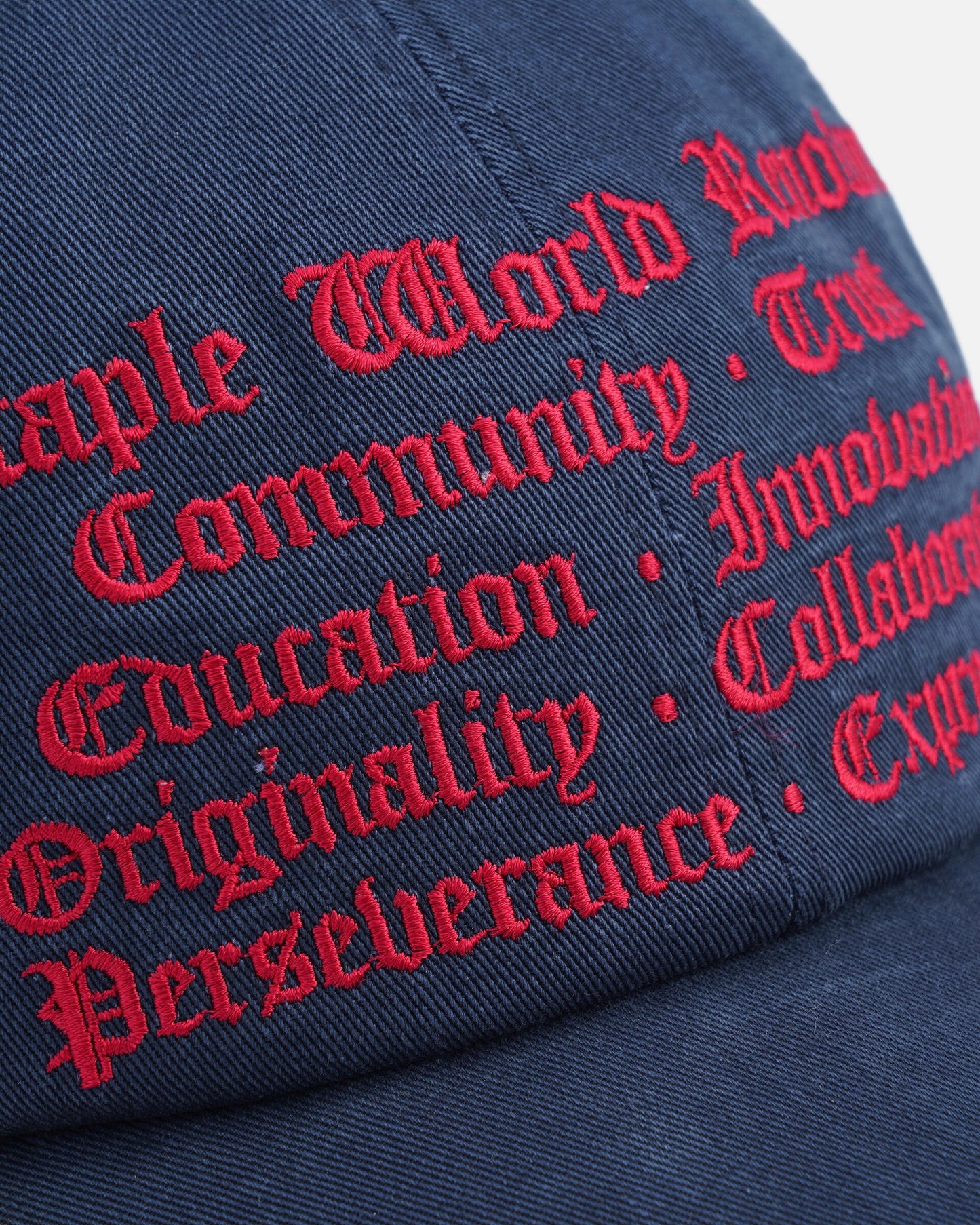 Philosophy Cap - Caps | Staple Pigeon