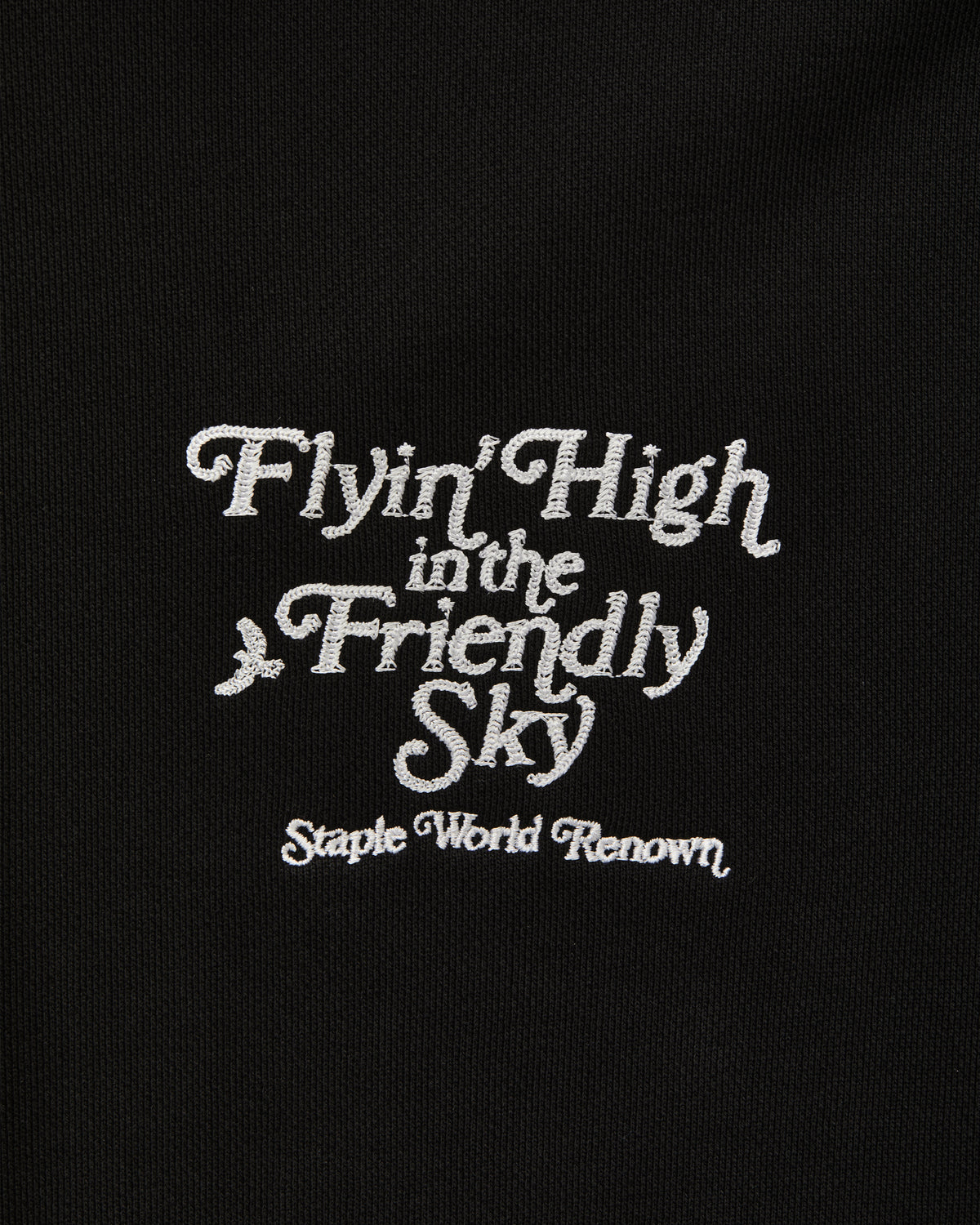 Friendly Sky Hoodie - LS Hoodie | Staple Pigeon