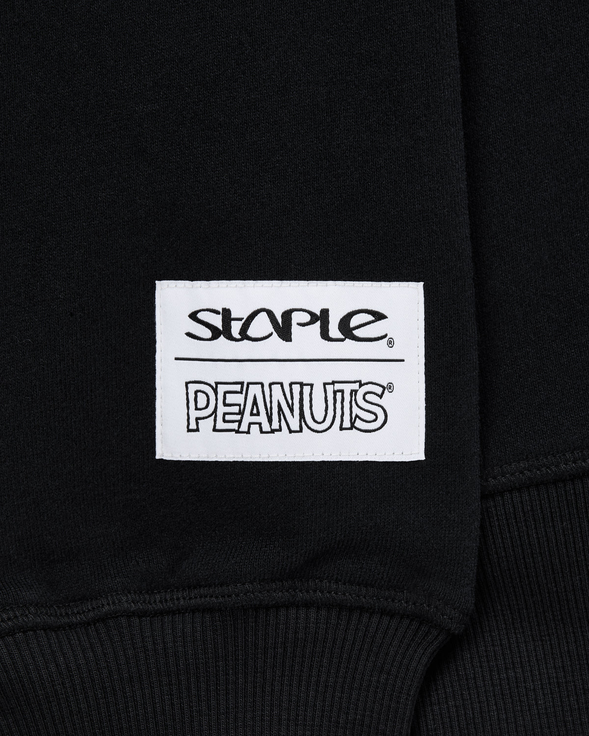 Staple x Peanuts Gang Hoodie - LS Hoodie | Staple Pigeon