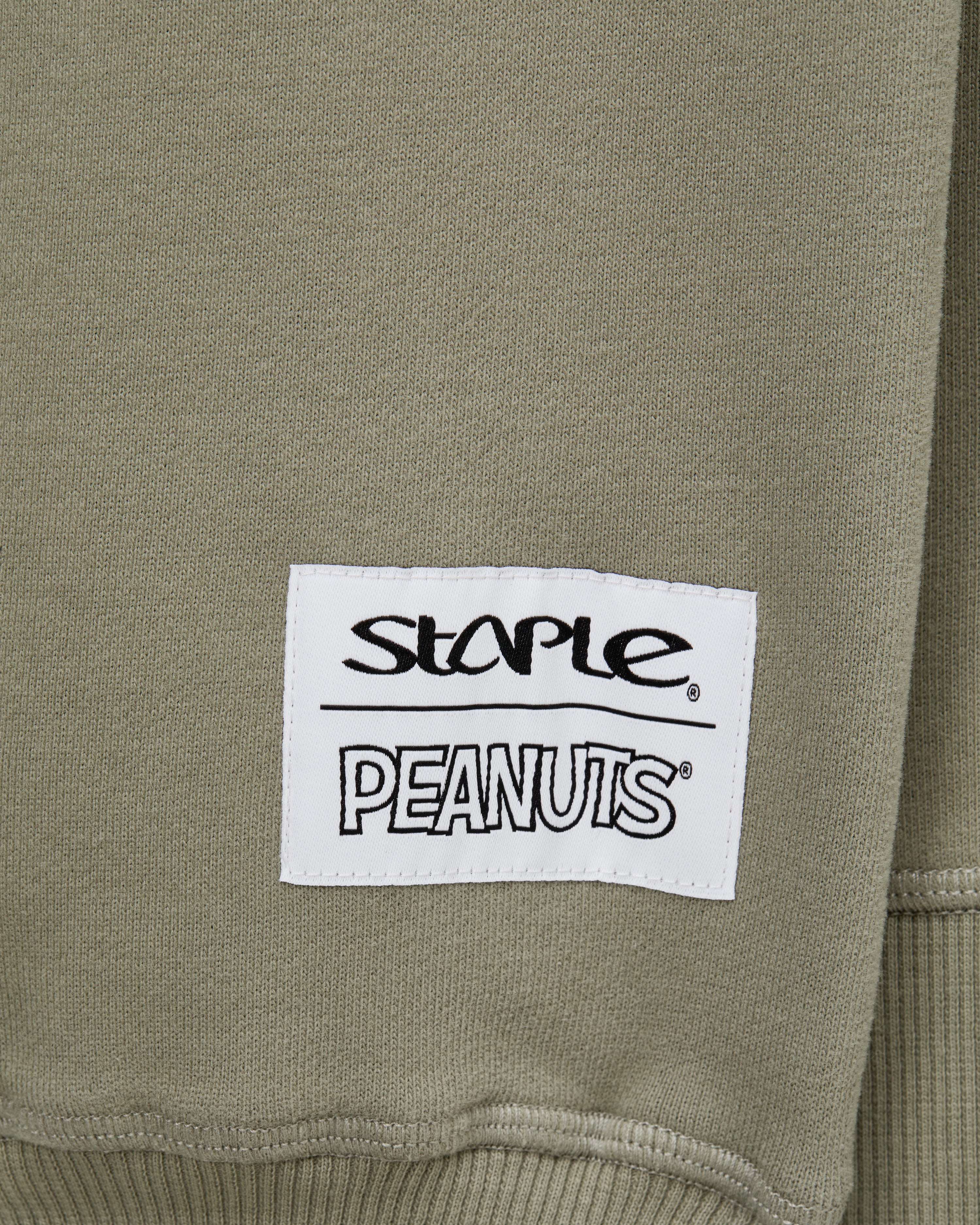 Staple x Peanuts Sounds Hoodie