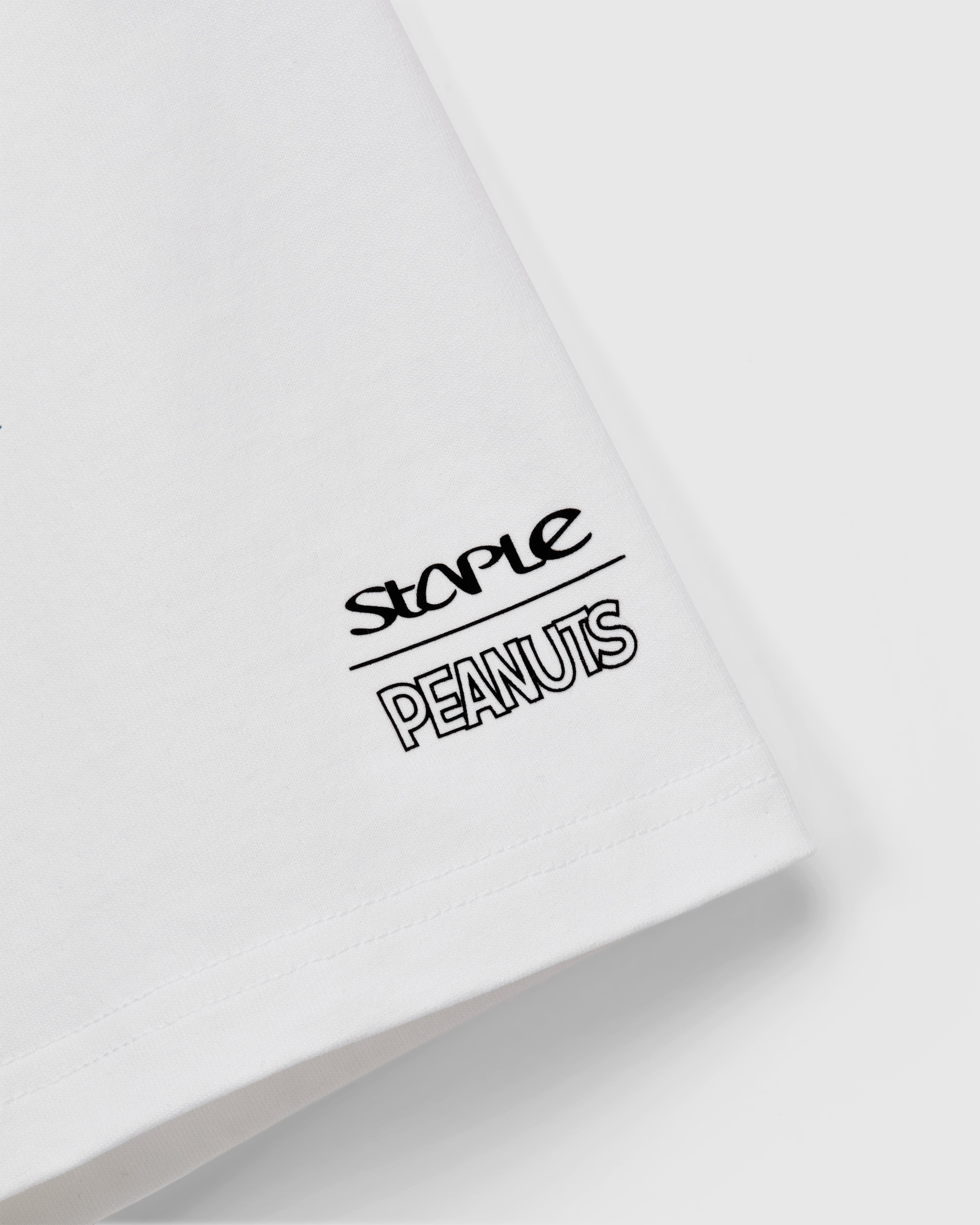 Staple x Peanuts Charlie Brown Tee - SS Tee | Staple Pigeon