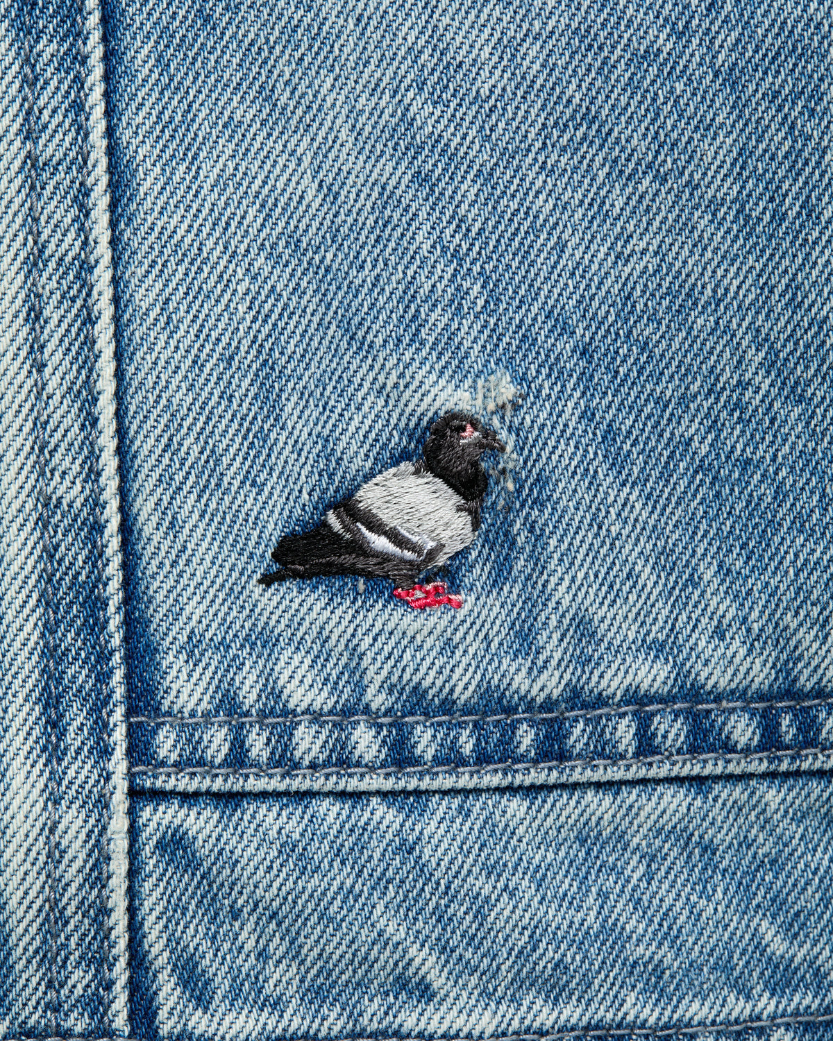 Denim Pigeon Short