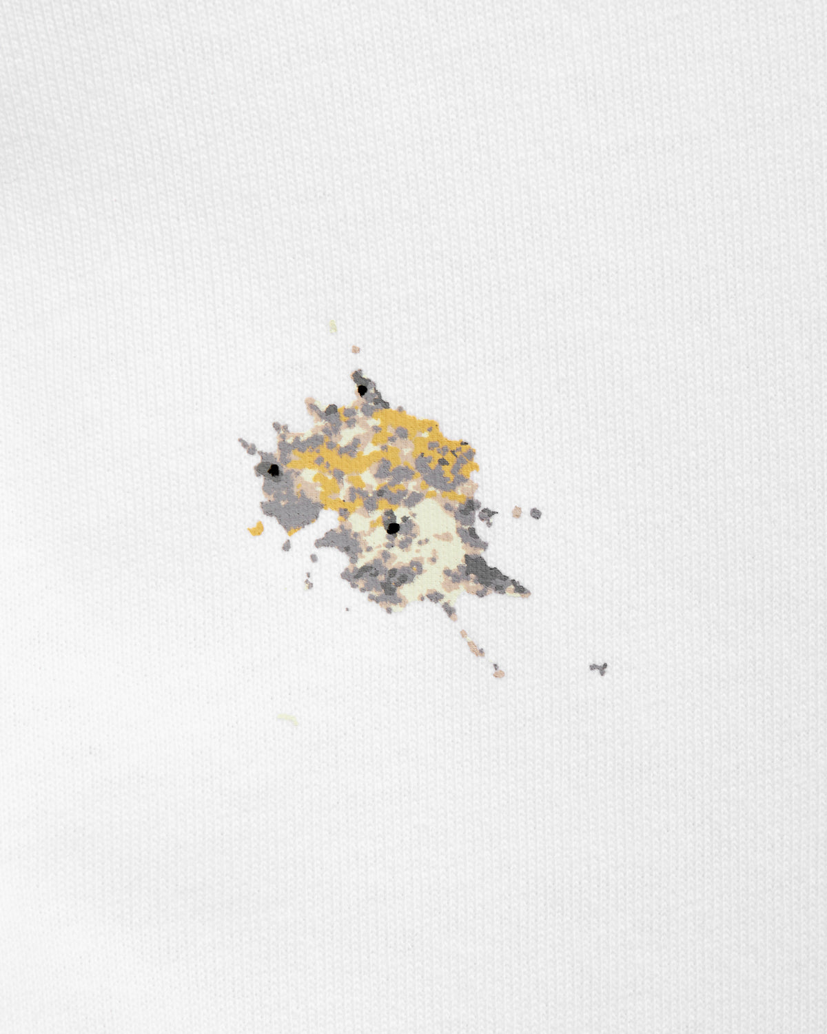 Emb Pigeon Tee FW26