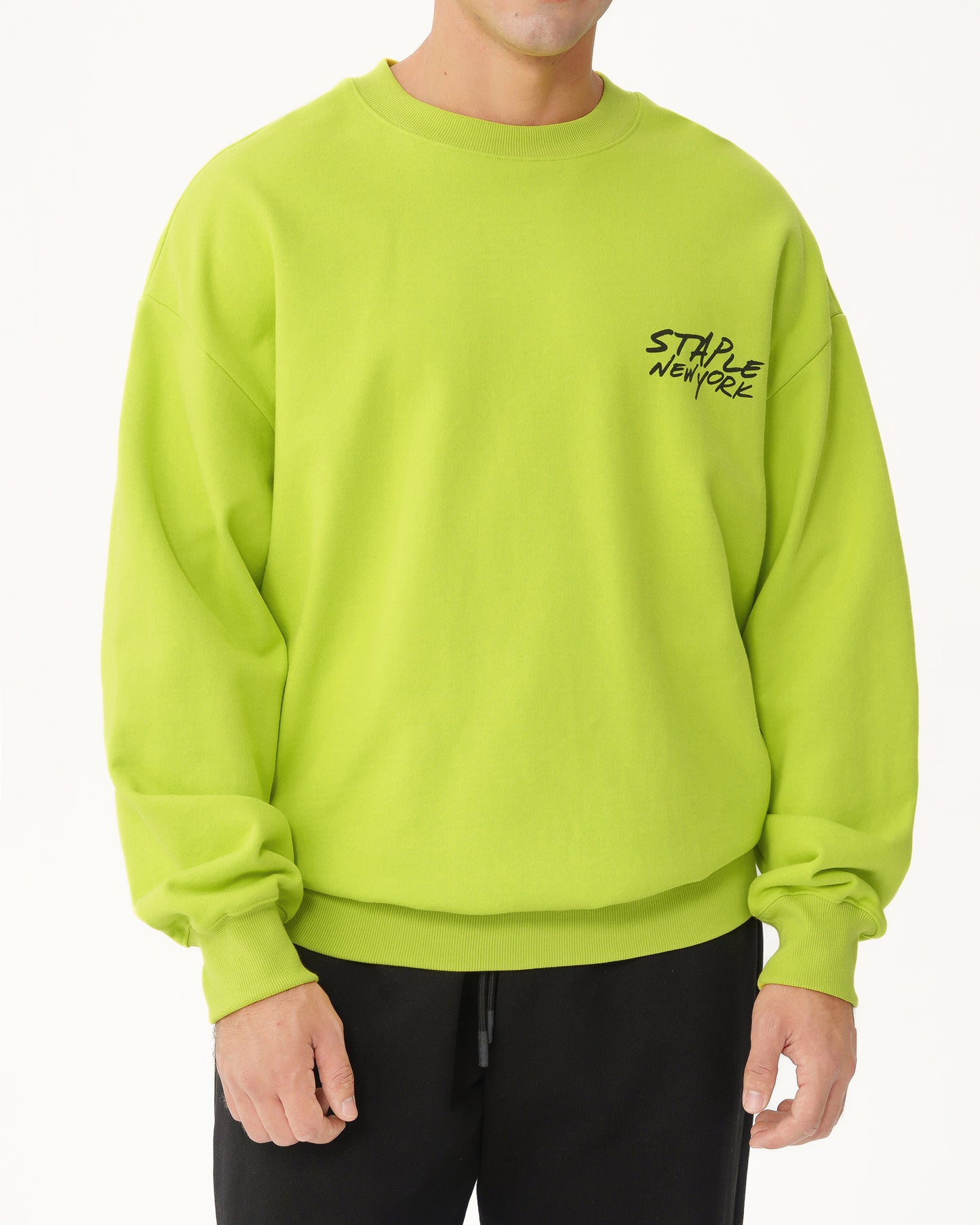 Digital Pigeon Crewneck - Crewneck | Staple Pigeon