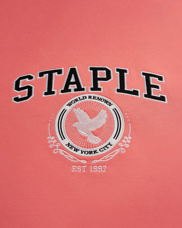 Syracuse Logo Hoodie - Hoodie | Staple Pigeon