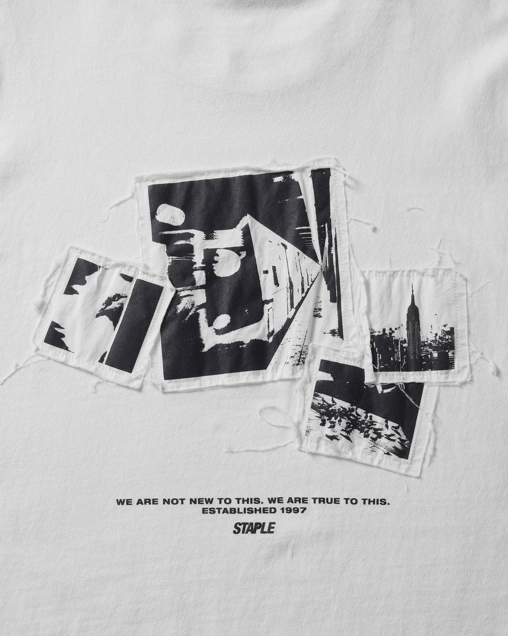Icons L/S Tee - LS Tee | Staple Pigeon