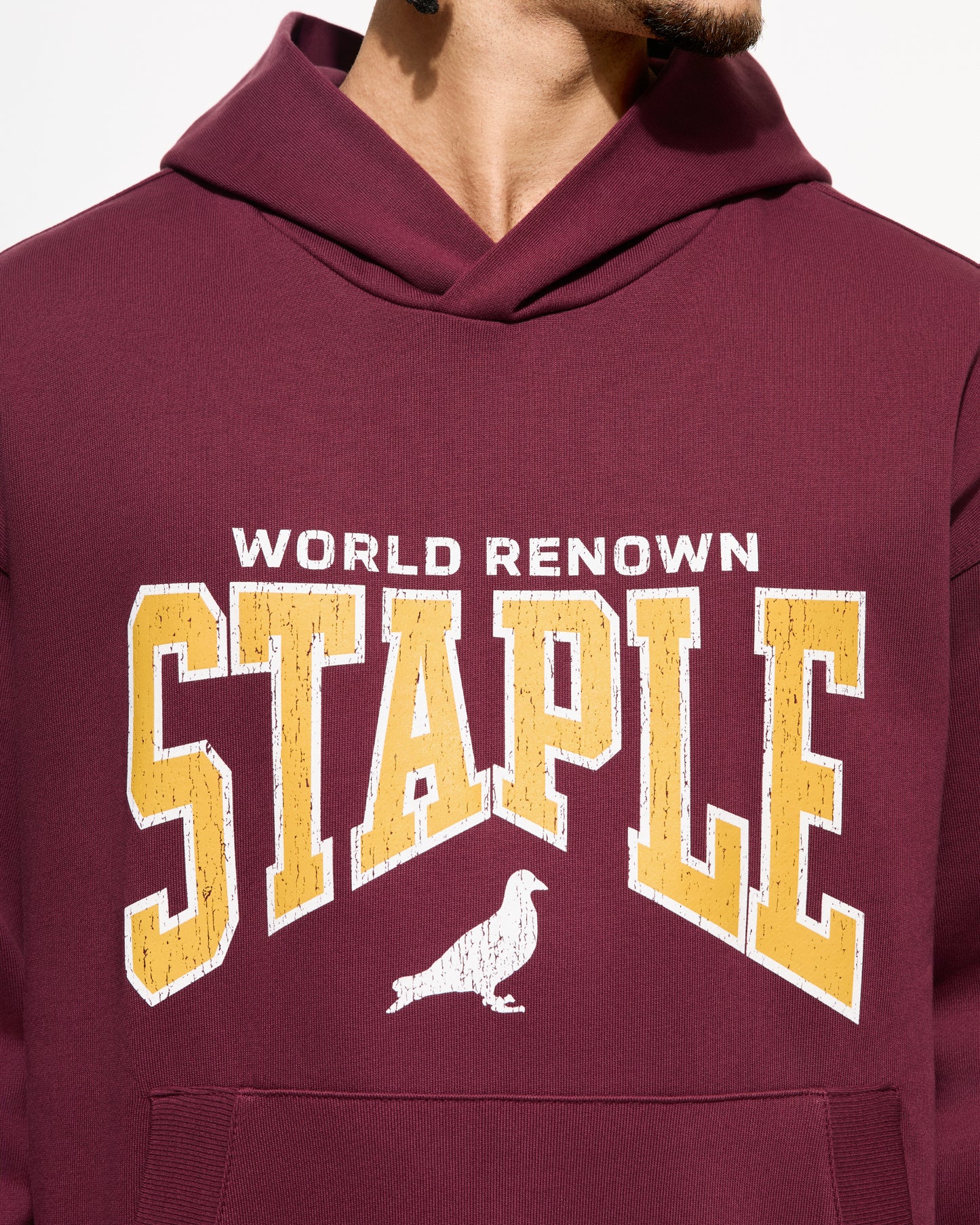 Starks Logo Hoodie - Hoodie | Staple Pigeon