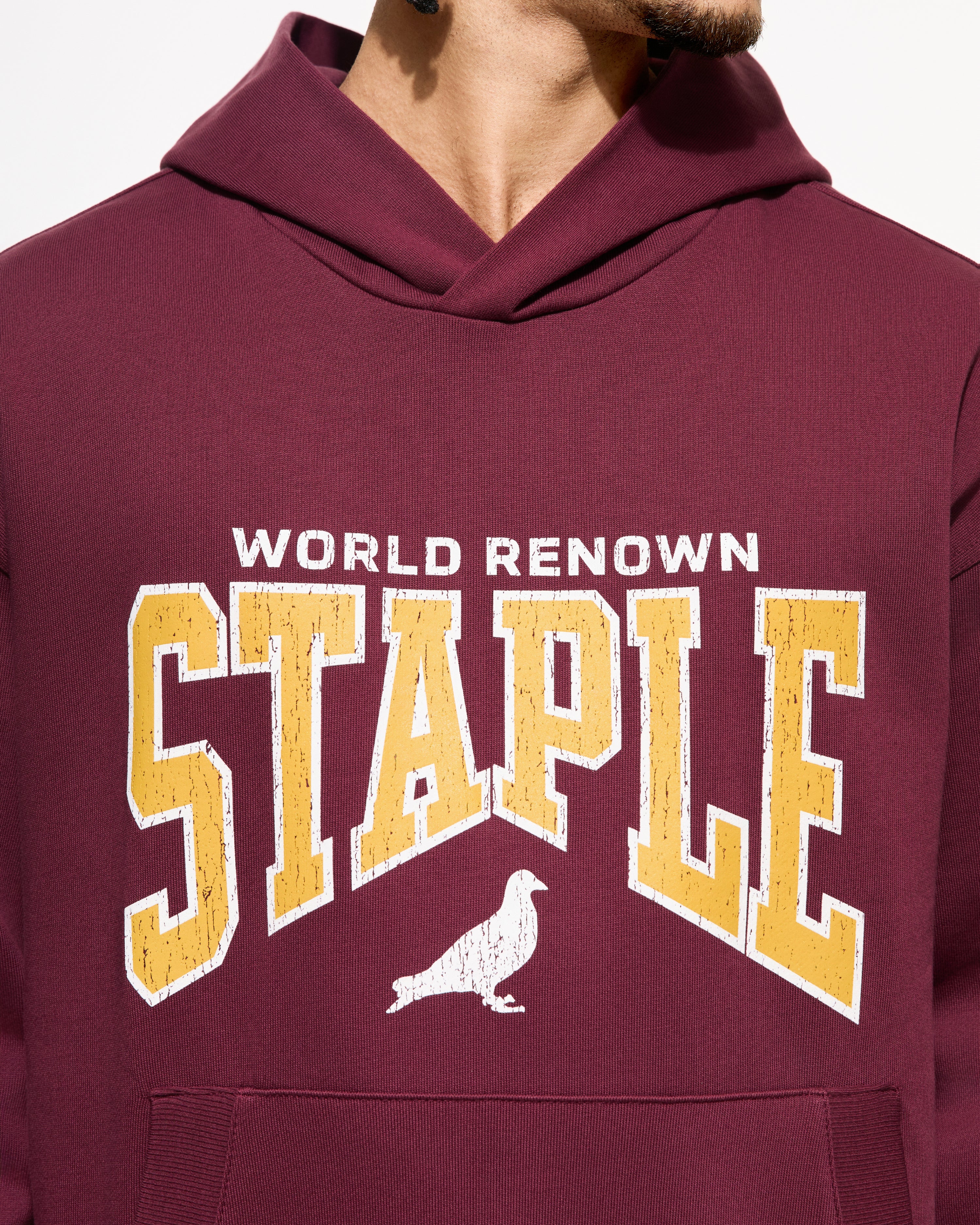 Starks Logo Hoodie - Hoodie | Staple Pigeon