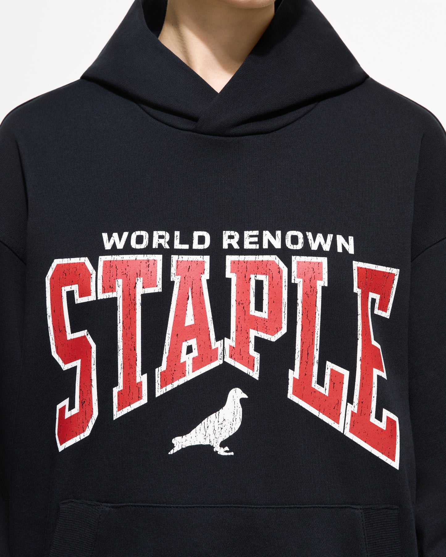 Starks Logo Hoodie - Hoodie | Staple Pigeon