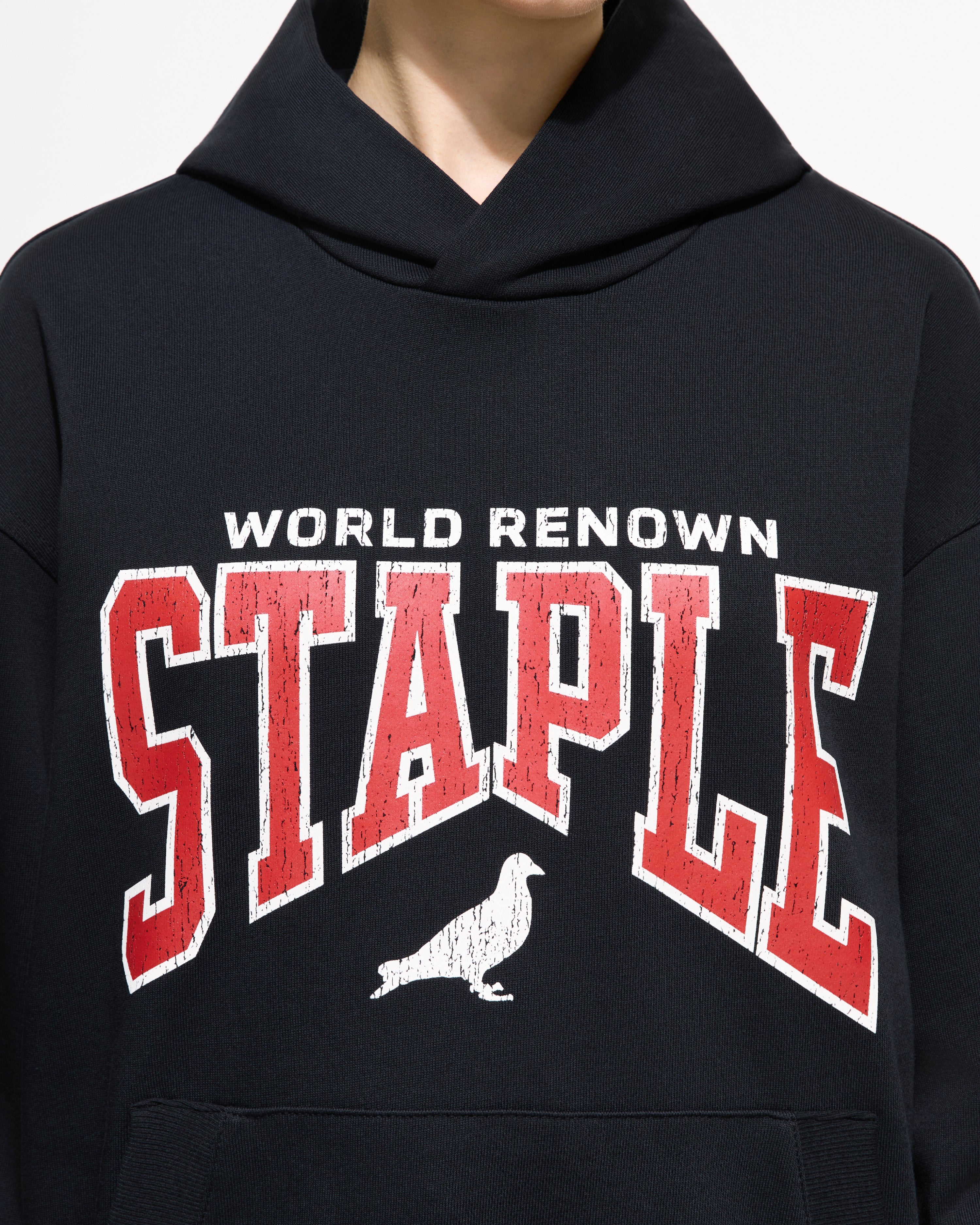 Starks Logo Hoodie - Hoodie | Staple Pigeon