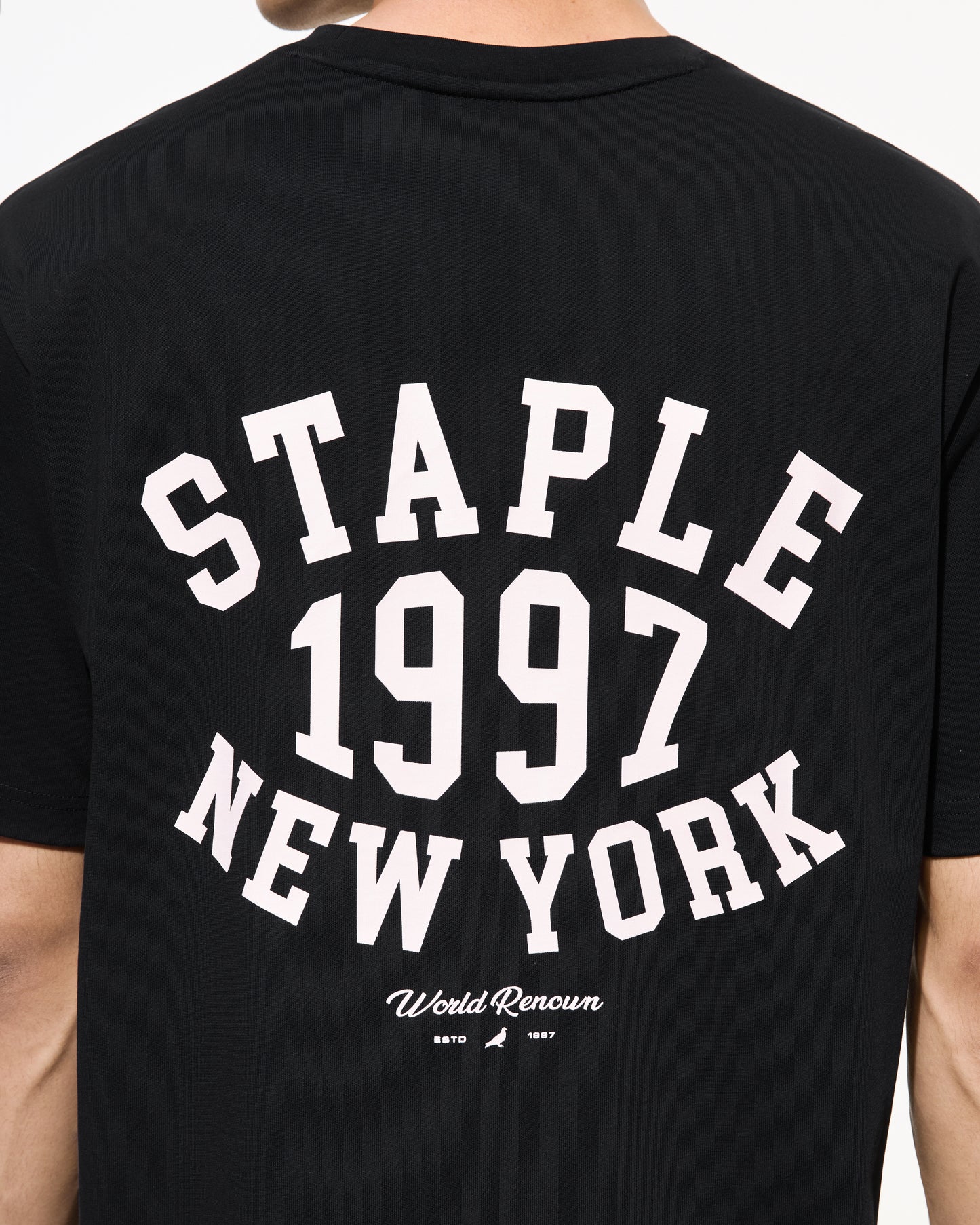 Rivera Logo Tee - Tee | Staple Pigeon