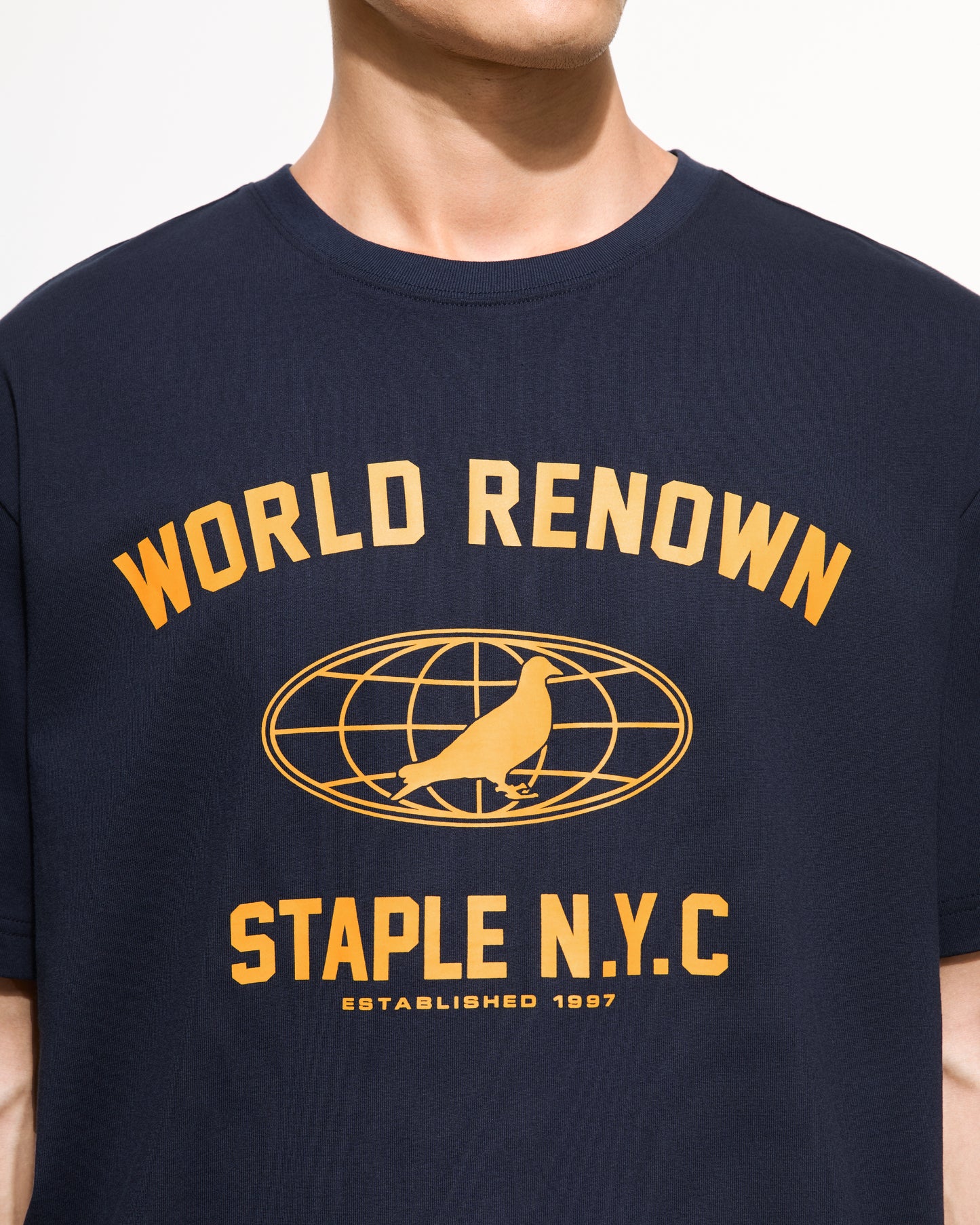 Worldwide Pigeon Tee - Tee | Staple Pigeon