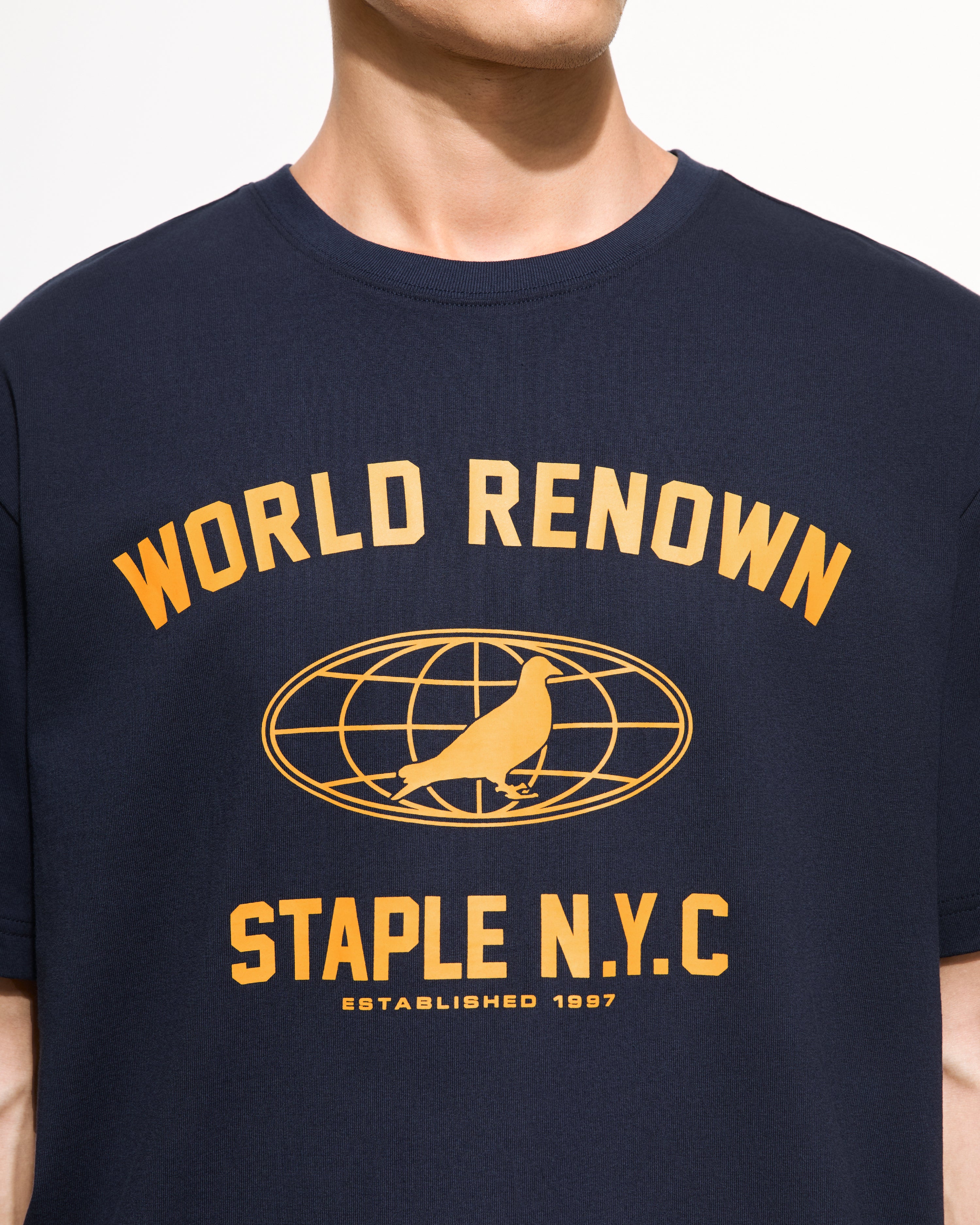 Worldwide Pigeon Tee - Tee | Staple Pigeon