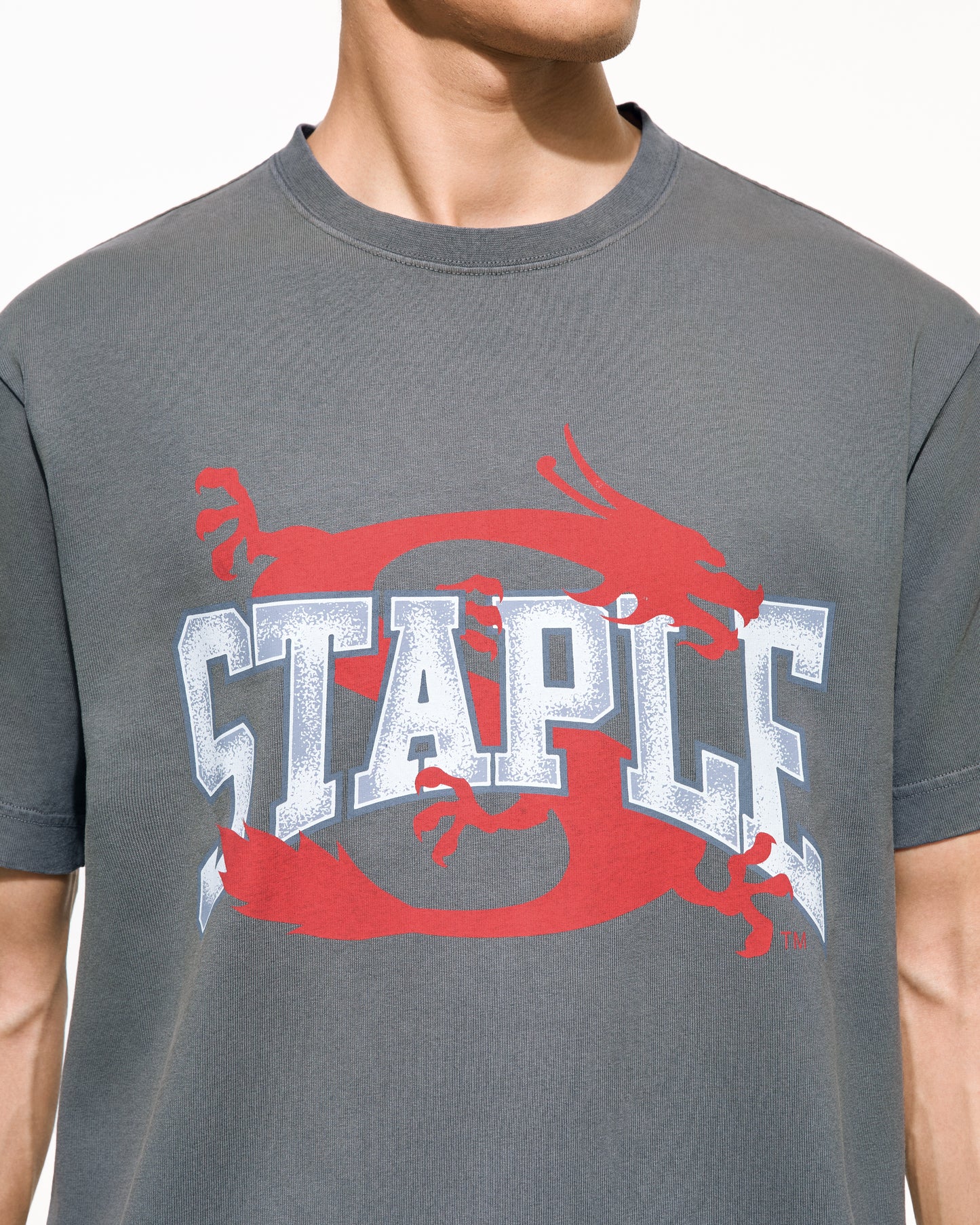 Frazier Dragon Tee - Tee | Staple Pigeon