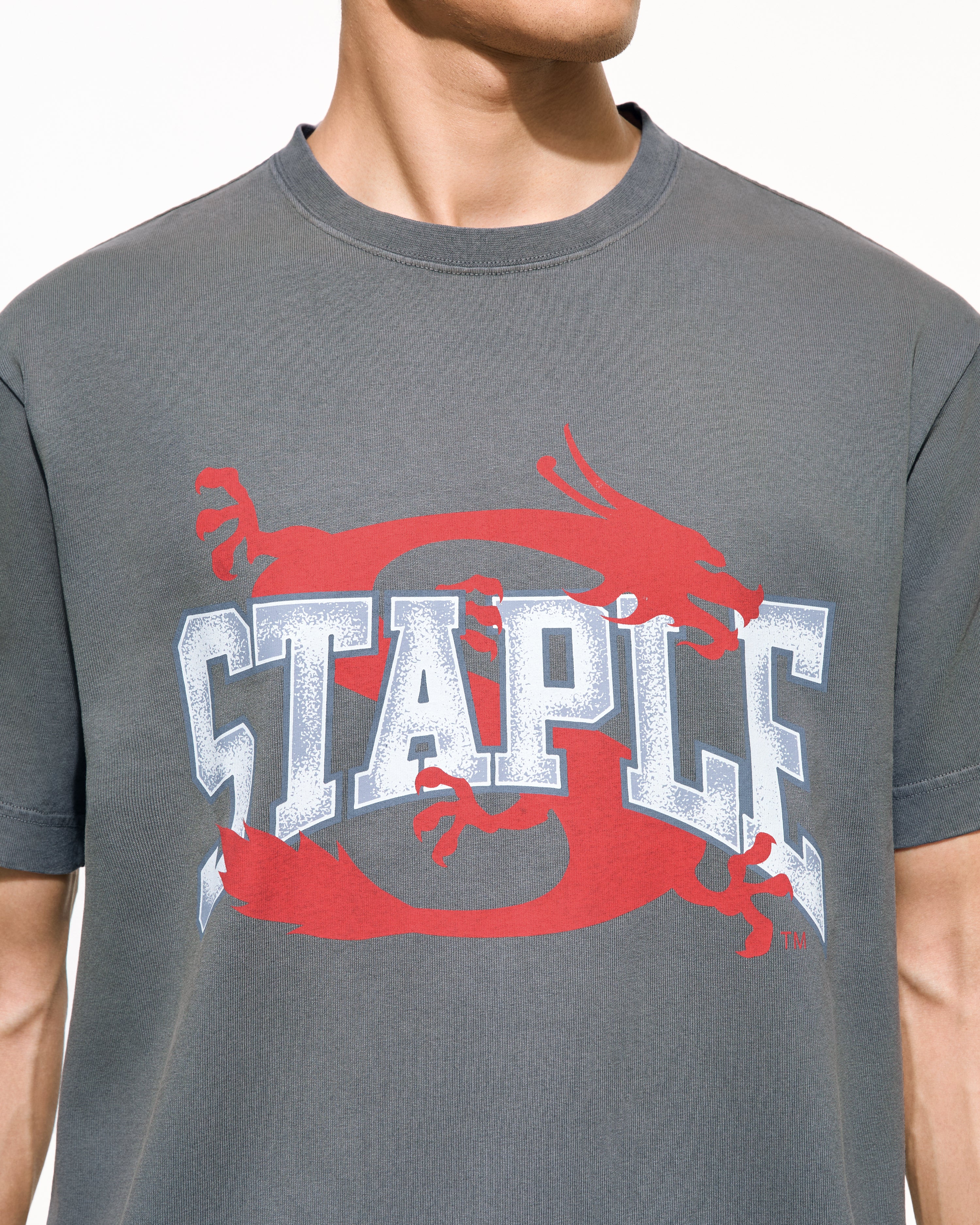 Frazier Dragon Tee - SS Tee | Staple Pigeon