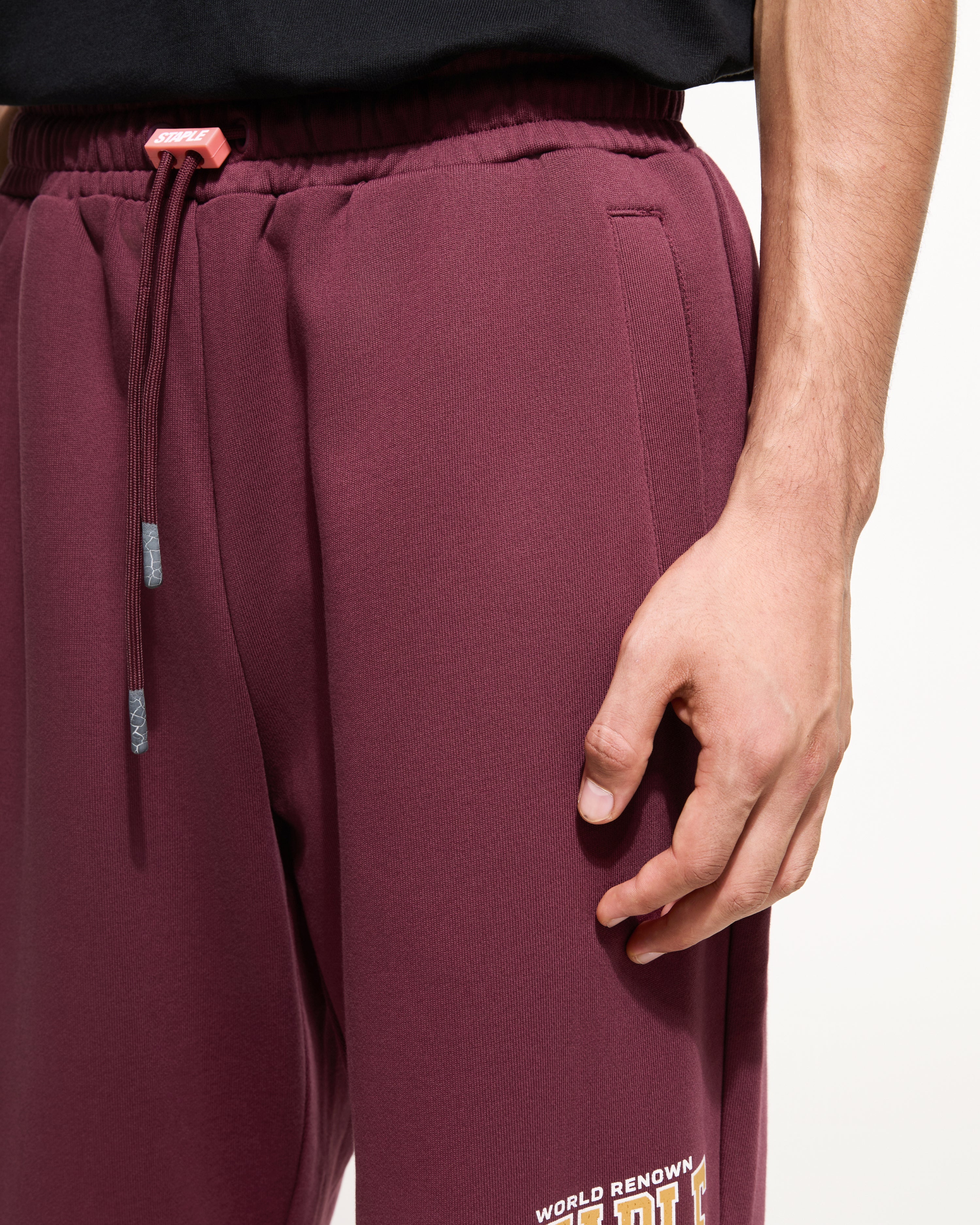 Starks Logo Sweatpant - Pants | Staple Pigeon