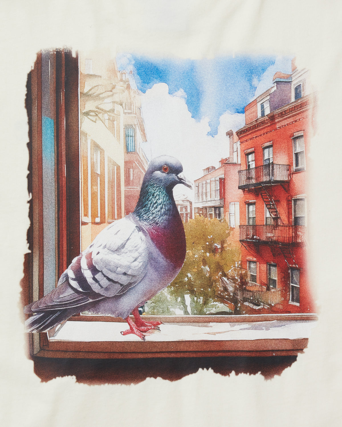 Pigeon Window Tee - SS Tee | Staple Pigeon