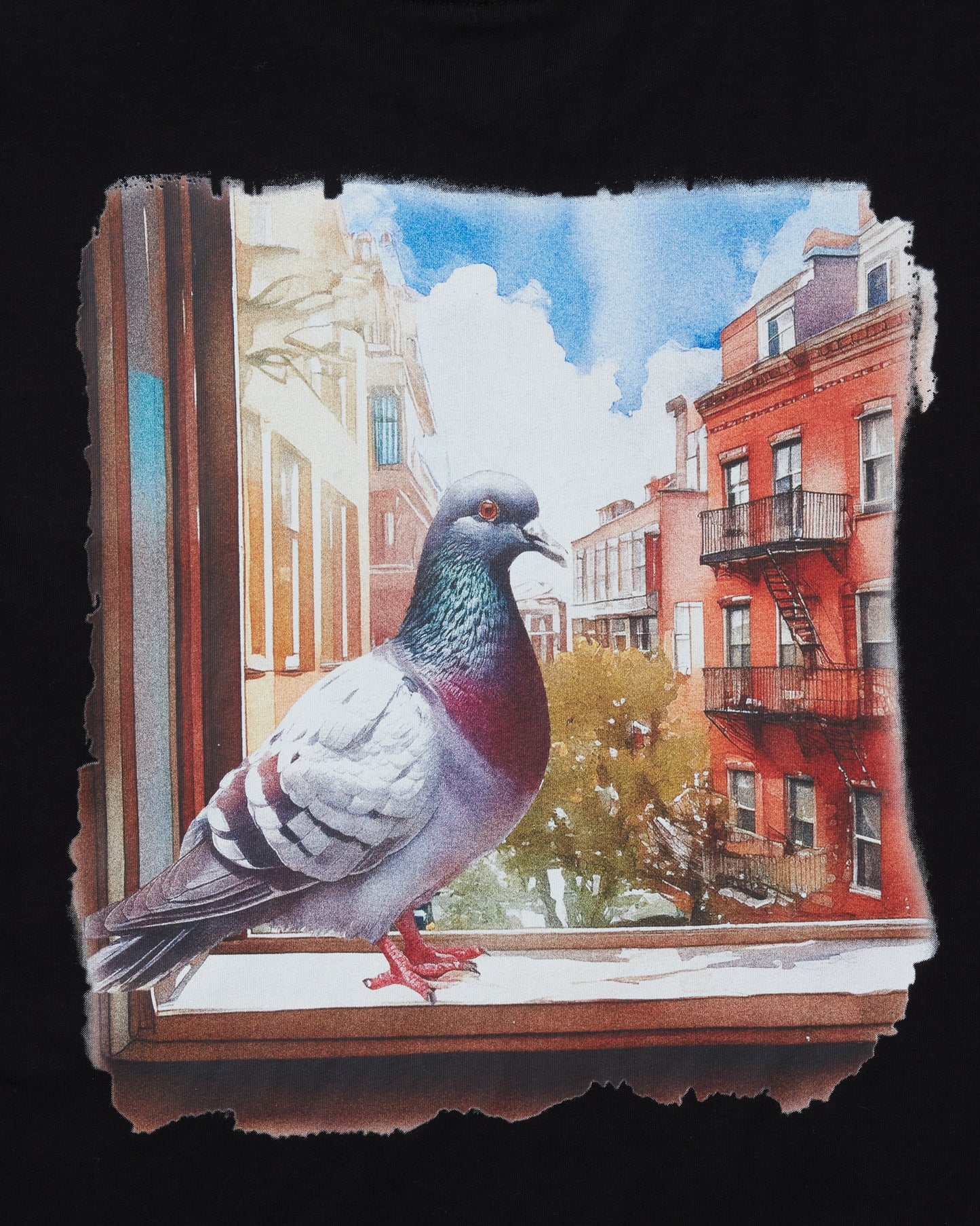 Pigeon Window Tee