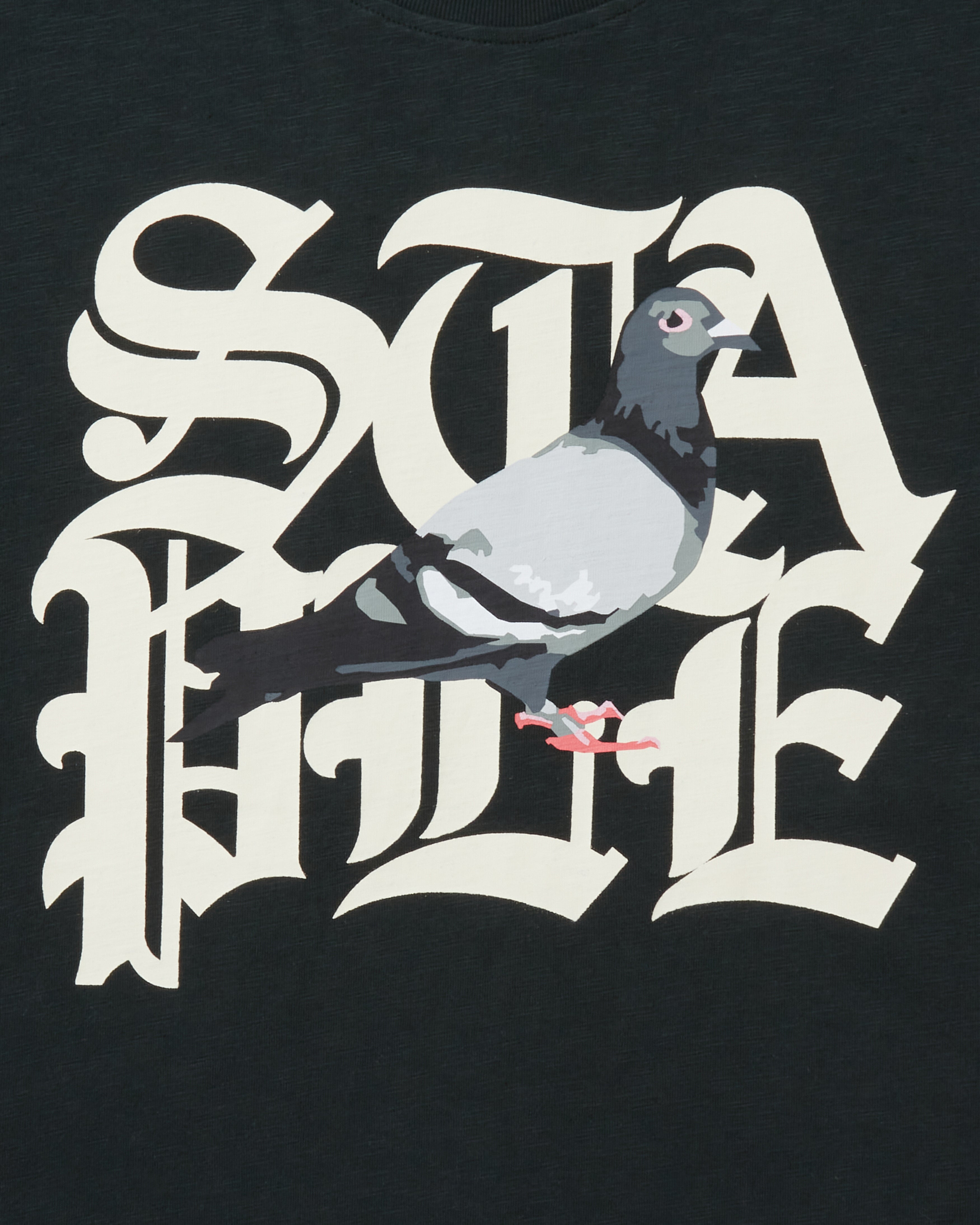 Gothic Pigeon Tee