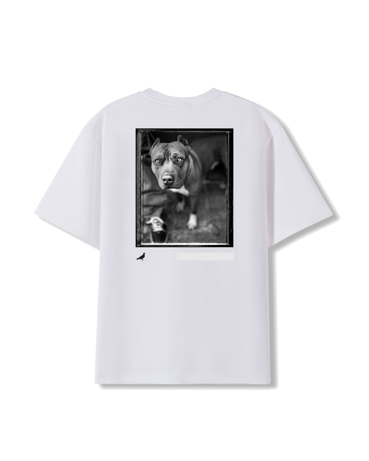 Jonathan Mannion for STAPLE Artist Edition Series - Tee | Staple Pigeon