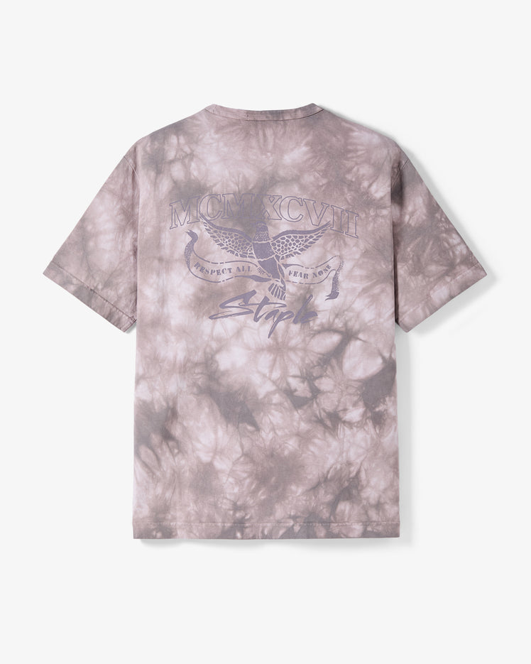 Rock Dove Washed Tee - Tee | Staple Pigeon