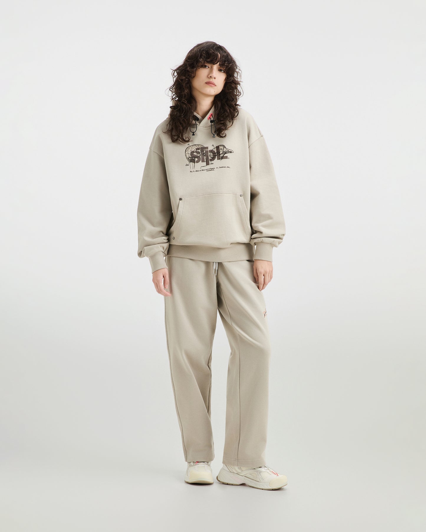 Apex Logo Hoodie - LS Hoodie | Staple Pigeon