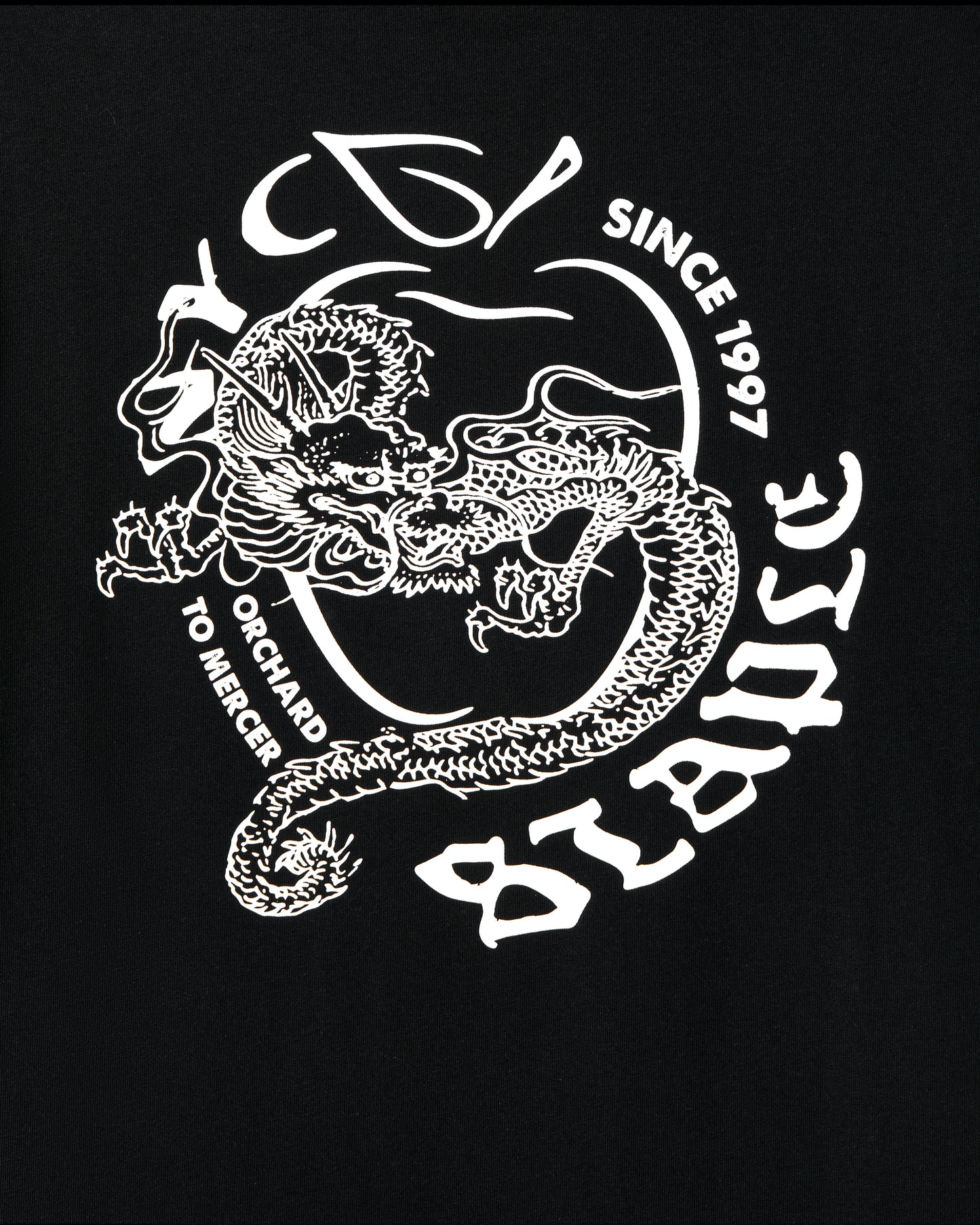 NYC Dragon Tee - SS Tee | Staple Pigeon