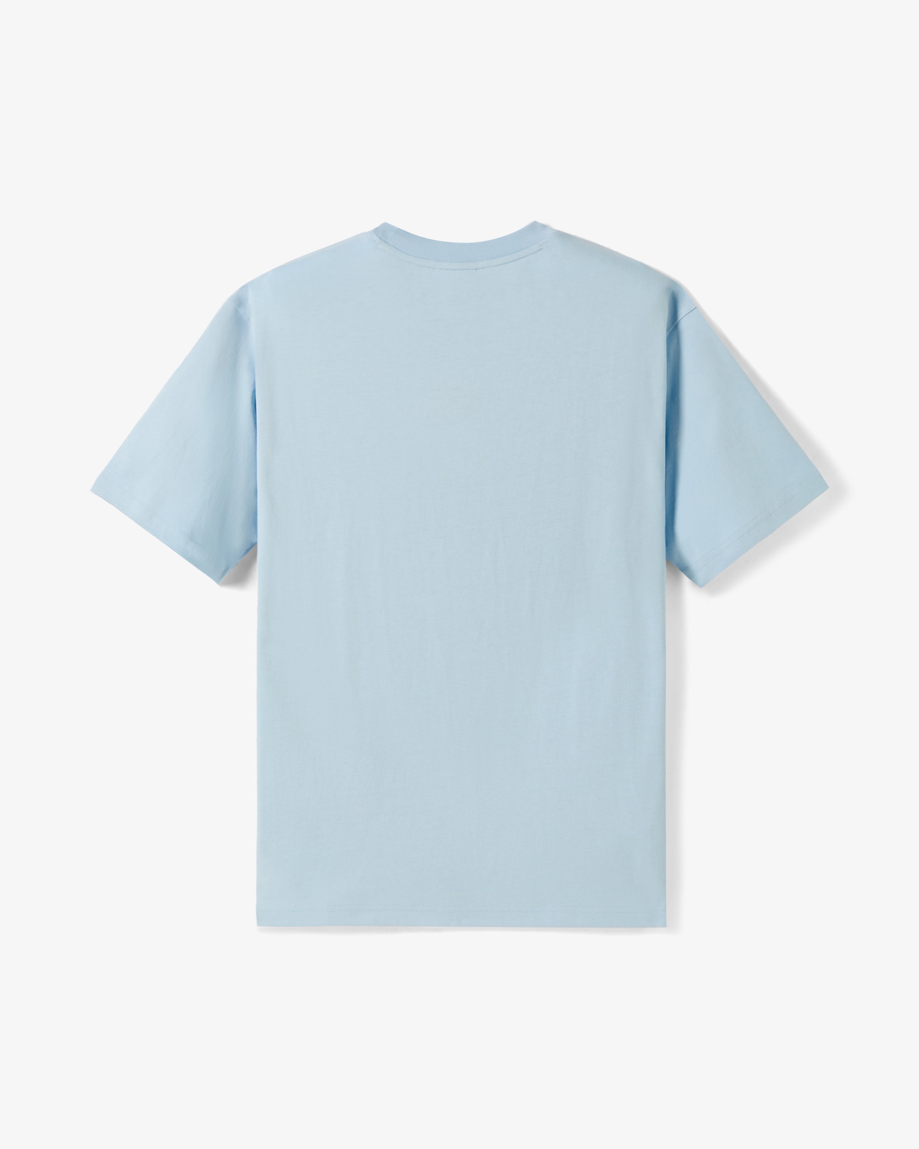 NYC Pigeon Tee – Staple