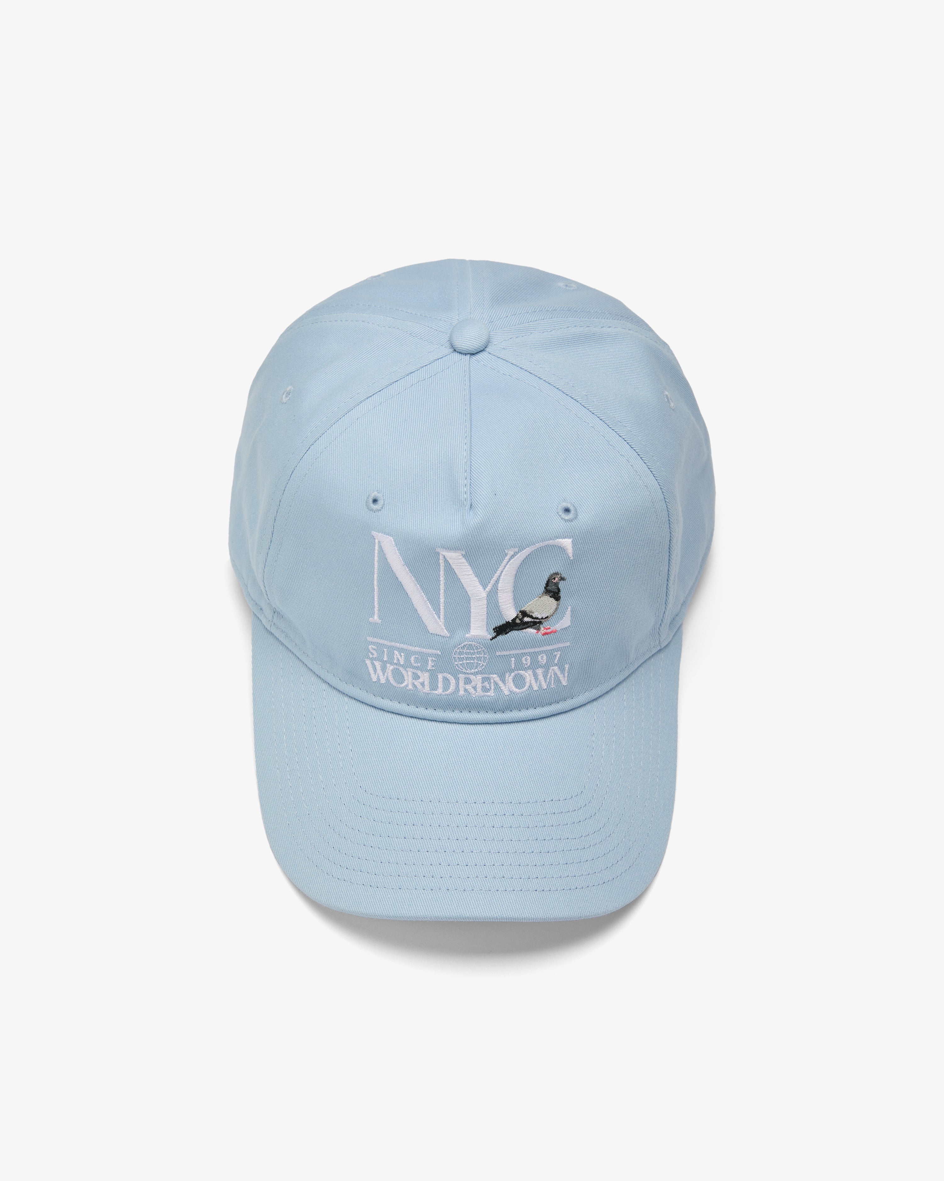 NYC Pigeon Cap - Baseball Cap | Staple Pigeon