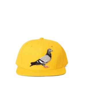 Pigeon Snapback - Hat | Staple Pigeon
