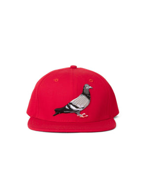 Pigeon Snapback - Hat | Staple Pigeon