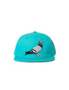 Pigeon Snapback - Hat | Staple Pigeon