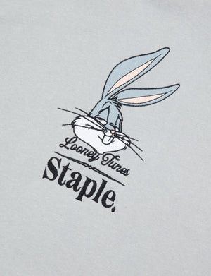 Bugs Hoodie - Hoodie | Staple Pigeon