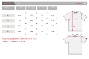 Staple x Atmos Flights Tee - Tee | Staple Pigeon